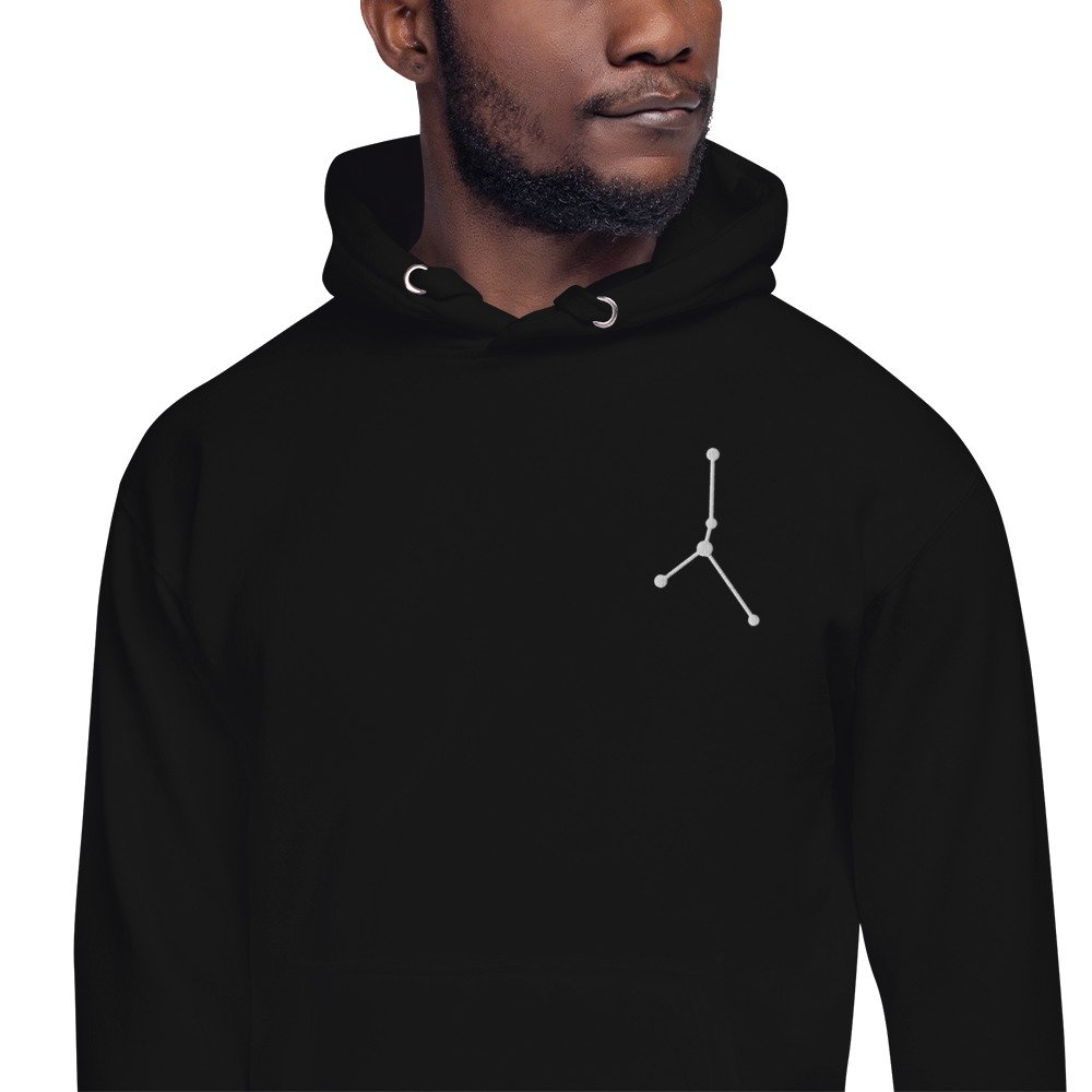 unisex-premium-hoodie-black-zoomed-in-679235dc8a501.jpg