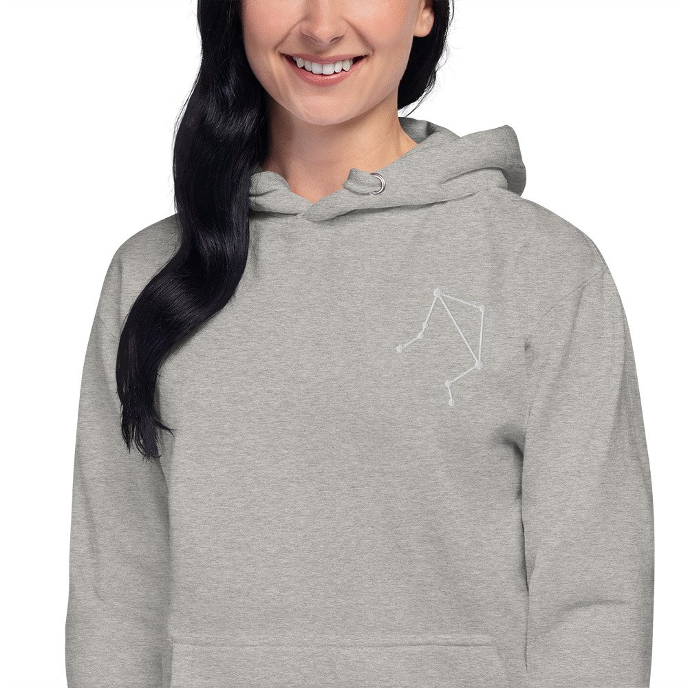 unisex-premium-hoodie-carbon-grey-zoomed-in-6794c8bd24e7a.jpg