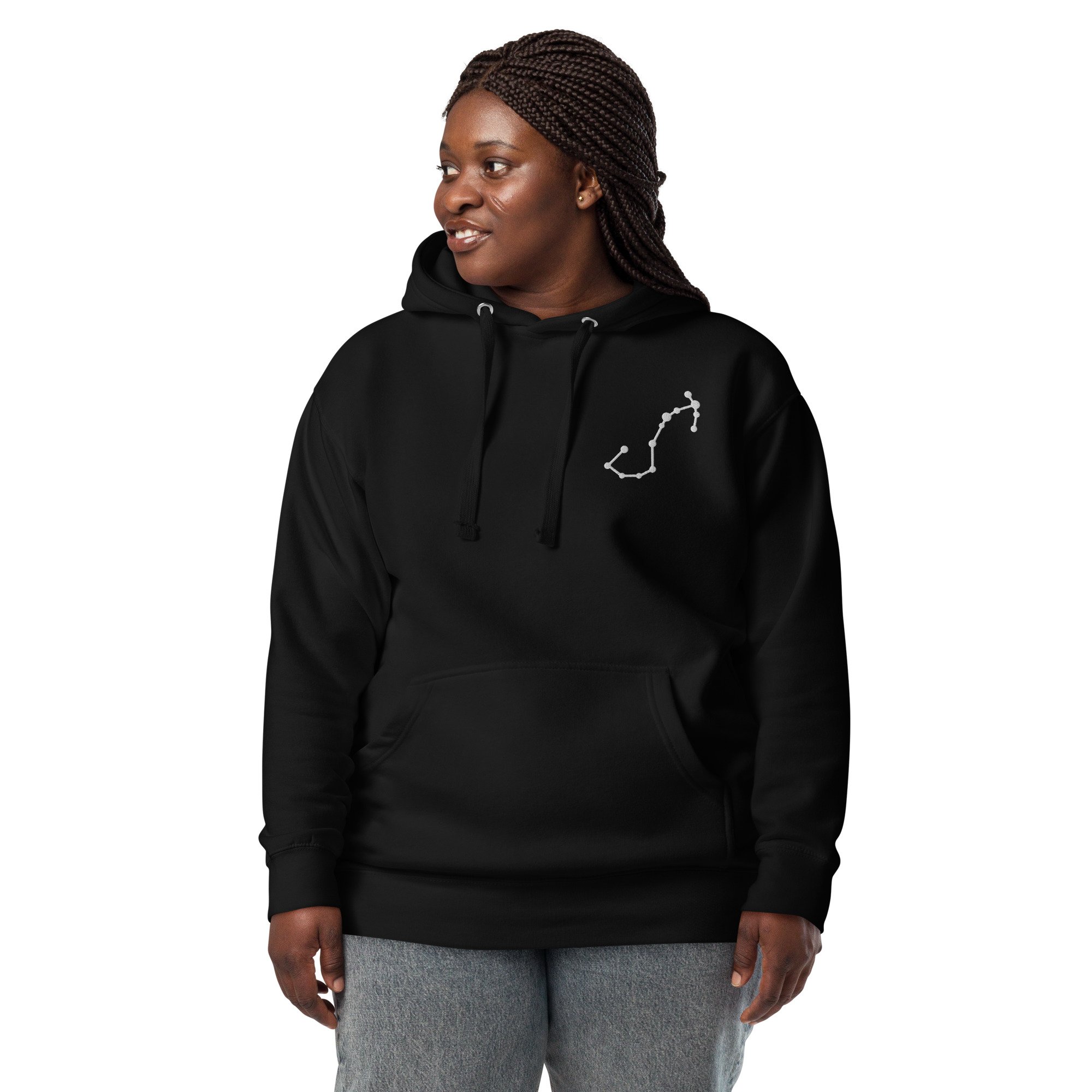 unisex-premium-hoodie-black-front-6794cc8670e42.jpg