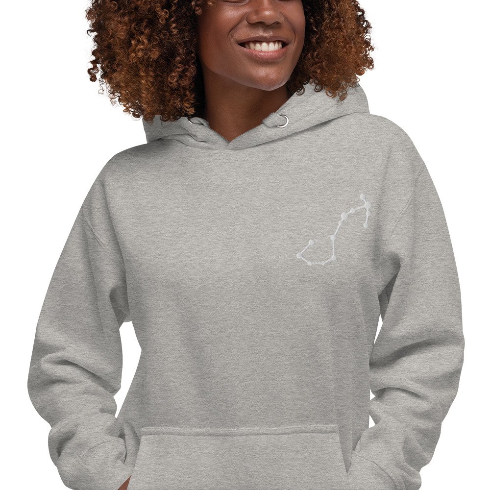 unisex-premium-hoodie-carbon-grey-zoomed-in-6794d02b0a060.jpg