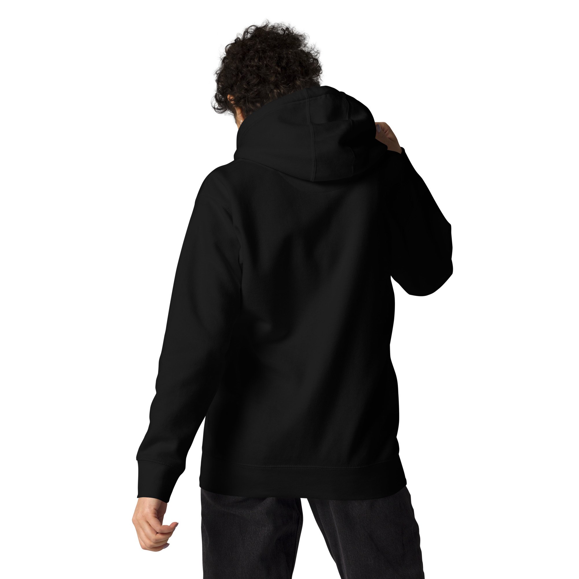 unisex-premium-hoodie-black-back-6794e75f734d0.jpg