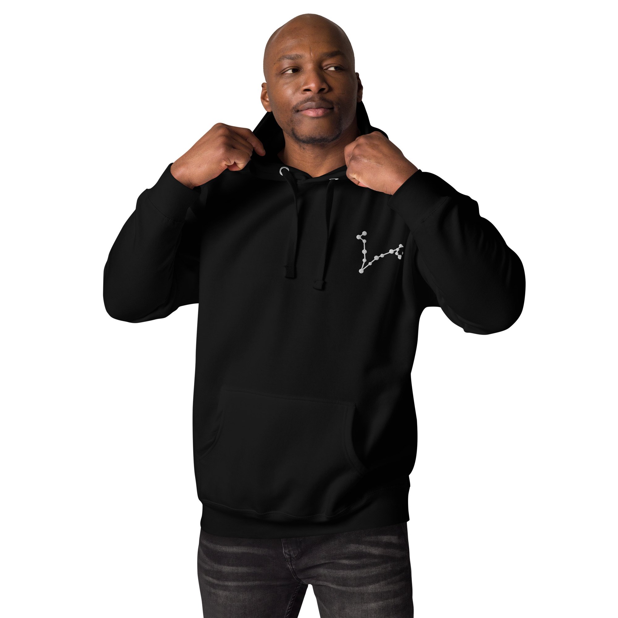 unisex-premium-hoodie-black-front-679505a8ad97c.jpg