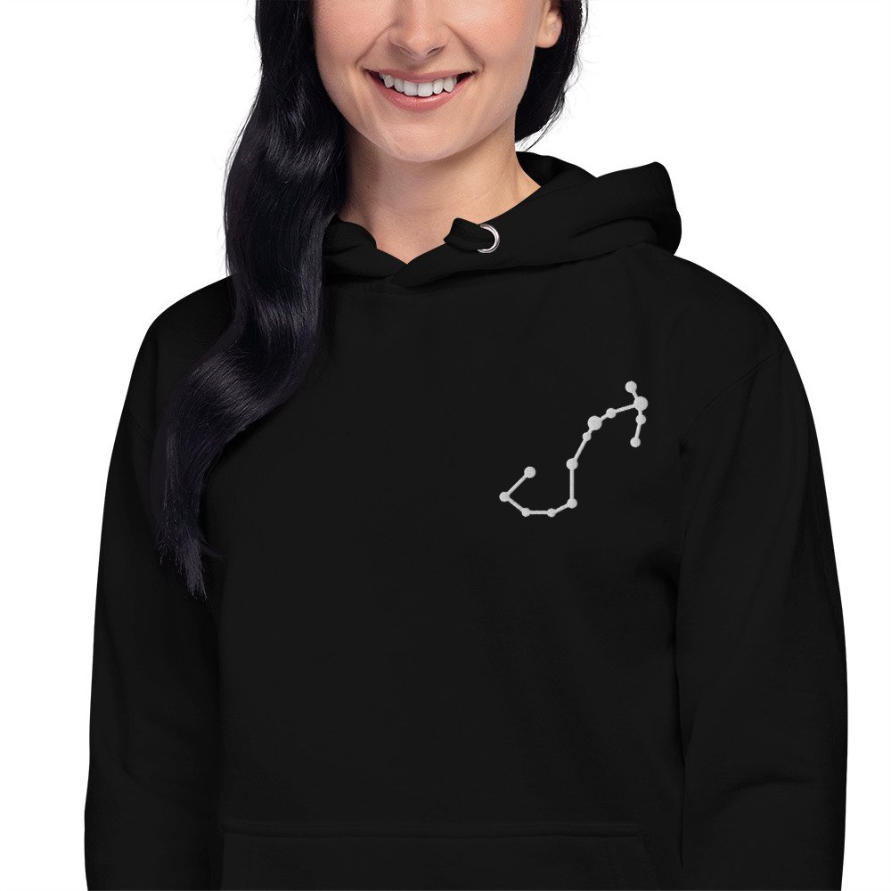 unisex-premium-hoodie-black-zoomed-in-67990d2204573.jpg