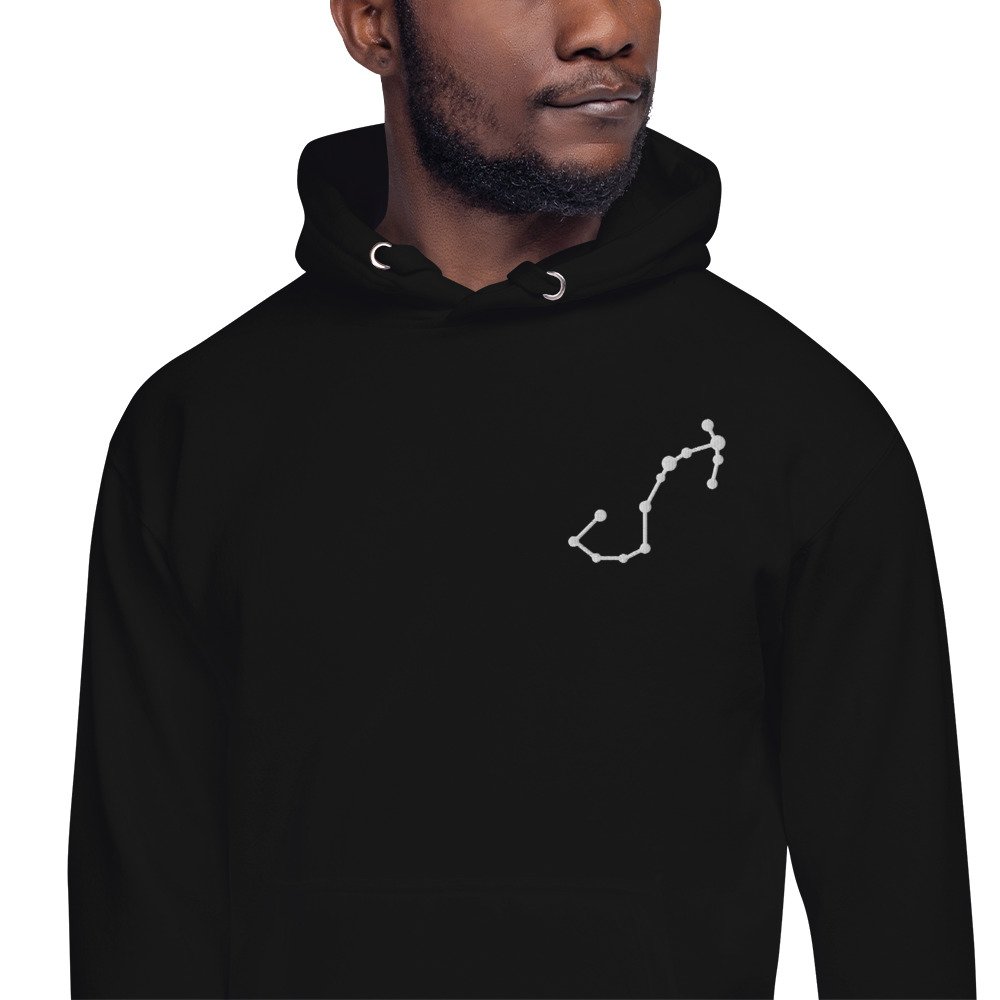 unisex-premium-hoodie-black-zoomed-in-67990d22068f4.jpg