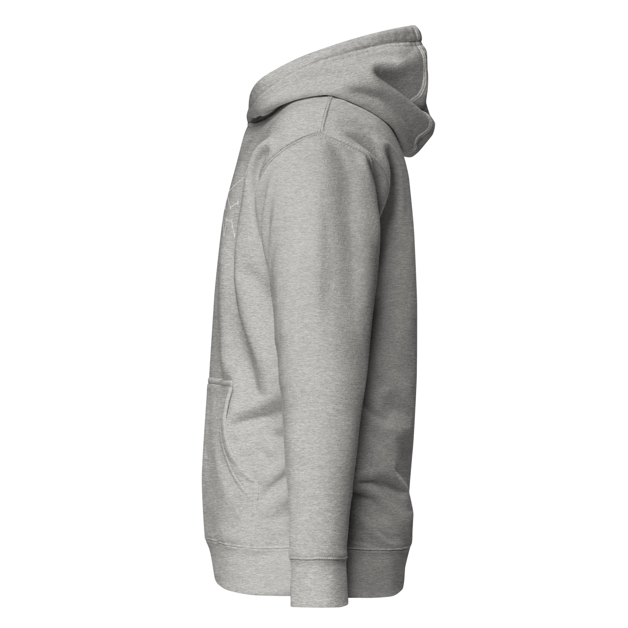 unisex-premium-hoodie-carbon-grey-left-67a8aeb8b84b6.jpg