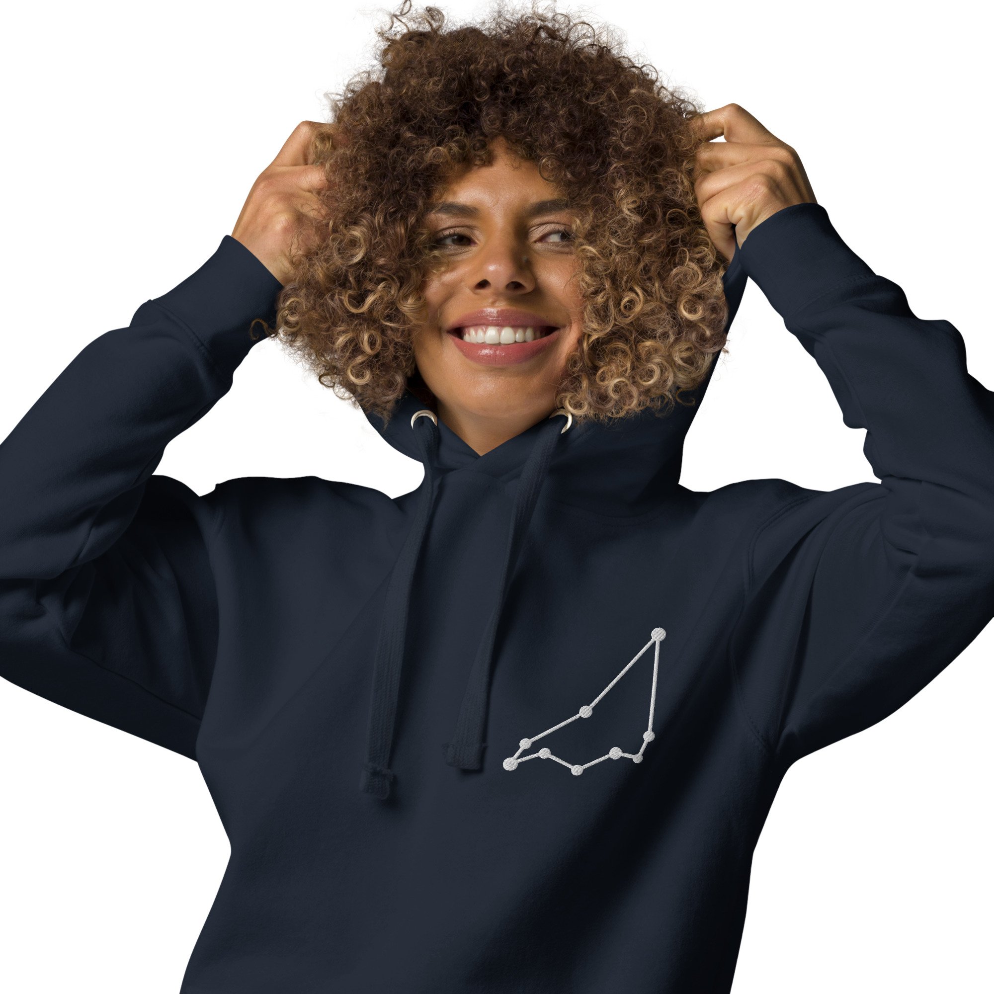 unisex-premium-hoodie-navy-blazer-zoomed-in-67ac6708b6add.jpg