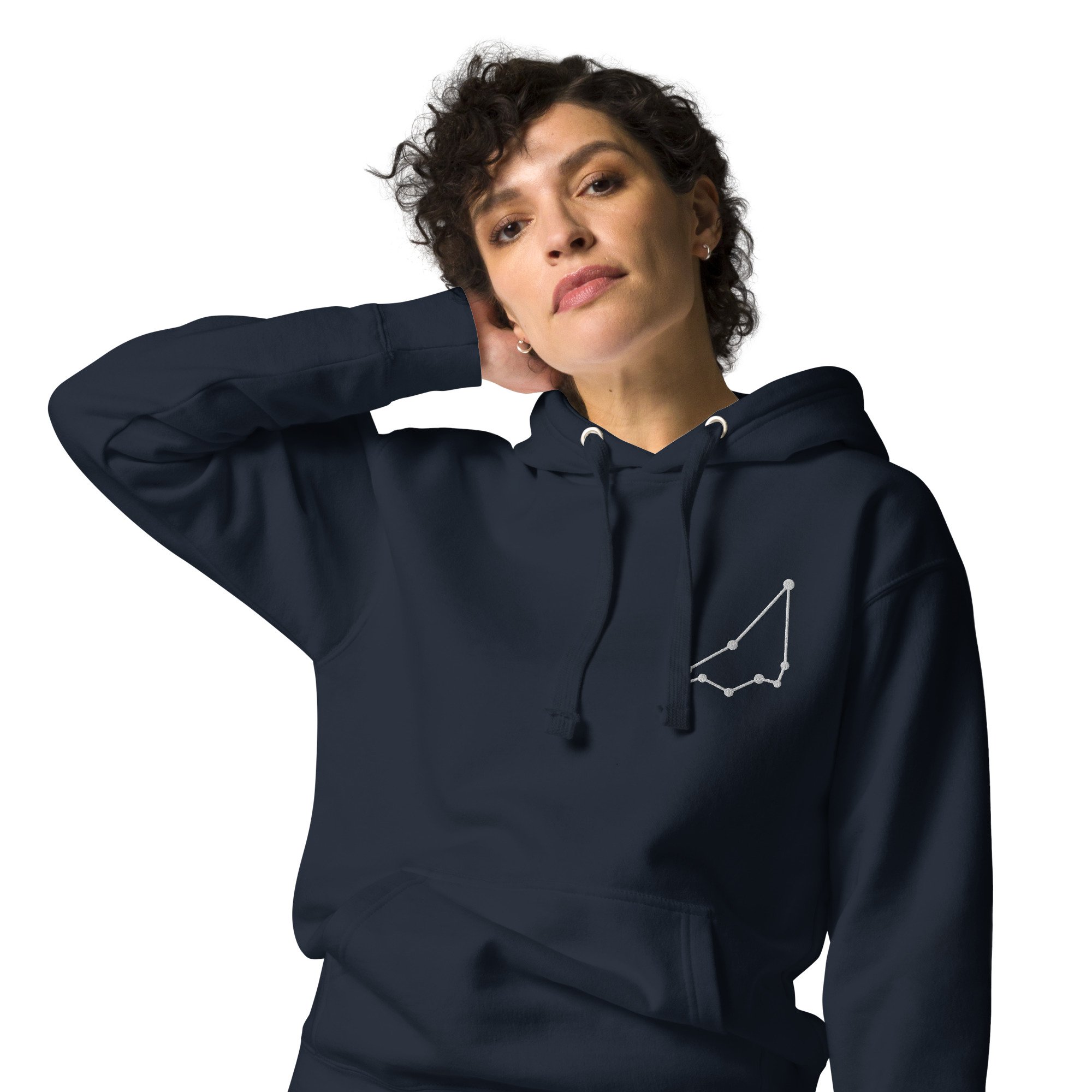 unisex-premium-hoodie-navy-blazer-zoomed-in-67ac6708b7a47.jpg
