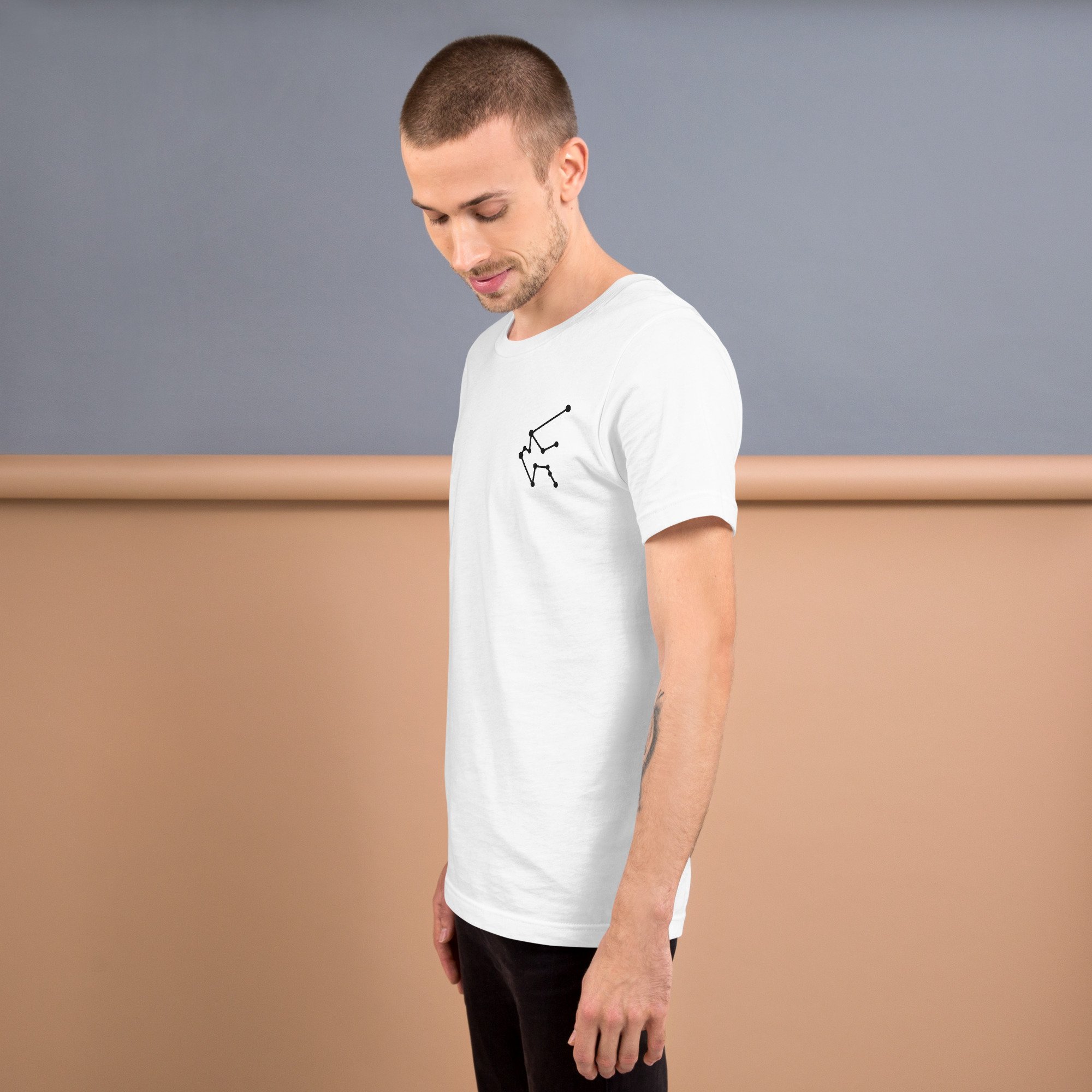 unisex-staple-t-shirt-white-left-68012083a0a68.jpg