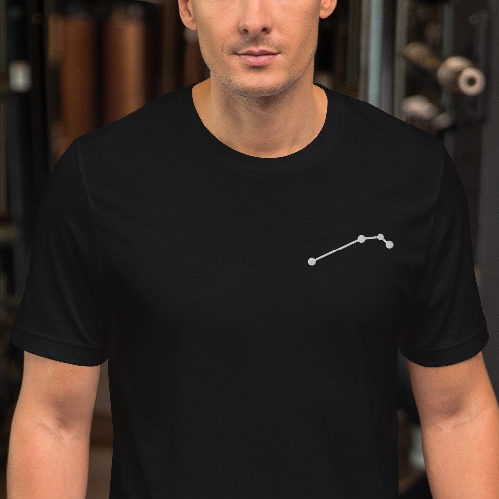 unisex-staple-t-shirt-black-zoomed-in-6805f12b145f3.jpg