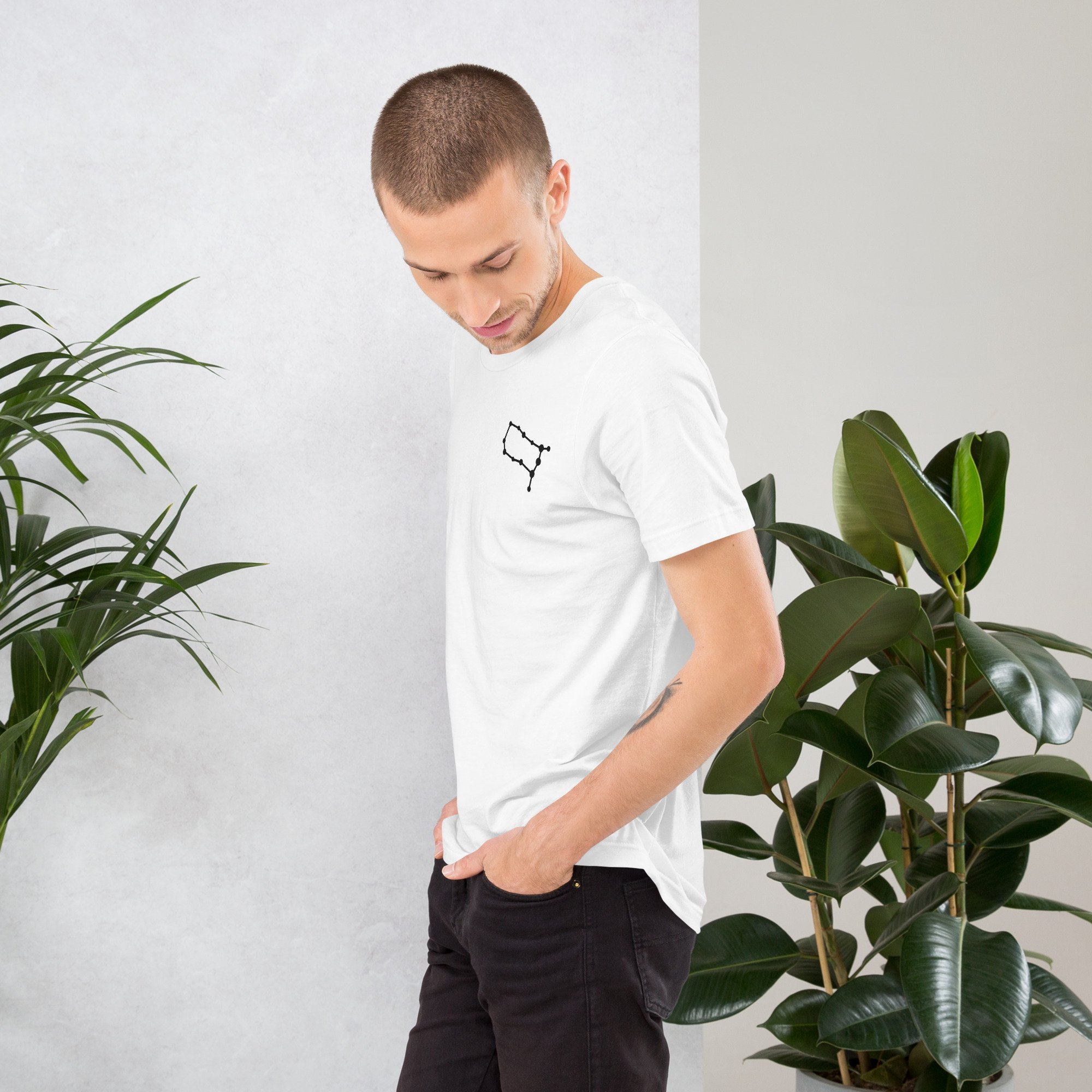 unisex-staple-t-shirt-white-left-6806011da80dd.jpg