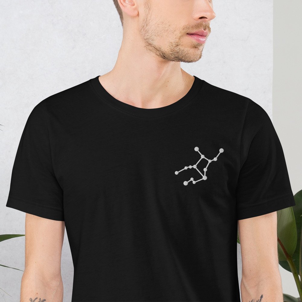 unisex-staple-t-shirt-black-zoomed-in-6806346ce2f8b.jpg