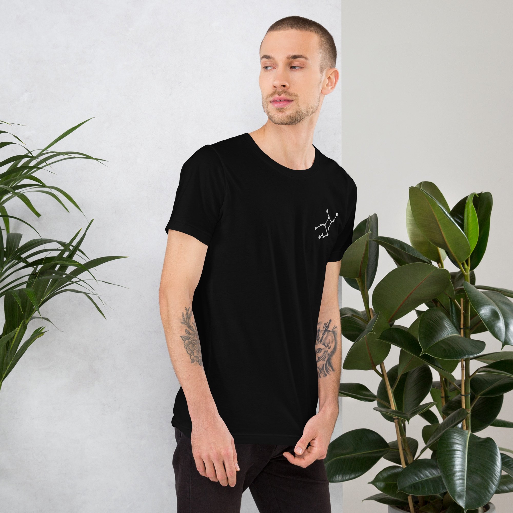 unisex-staple-t-shirt-black-right-6806346ce88d7.jpg
