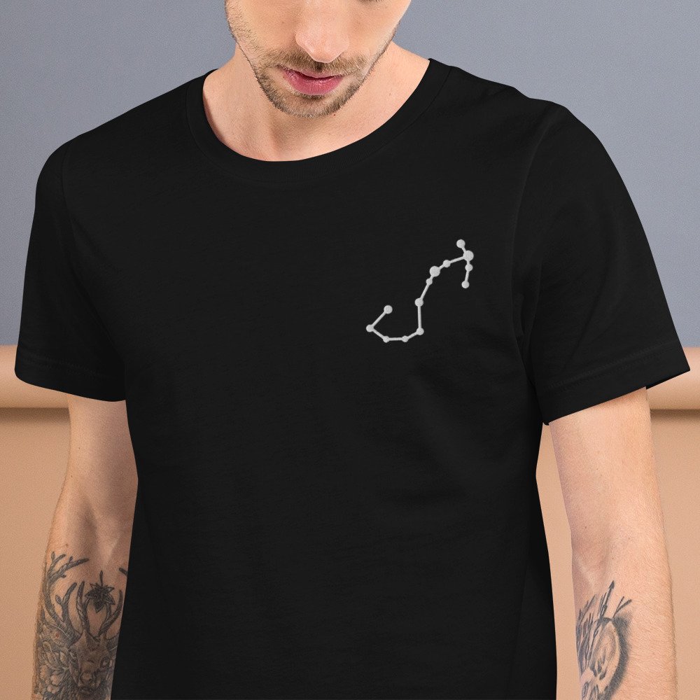 unisex-staple-t-shirt-black-zoomed-in-68063a08afebf.jpg