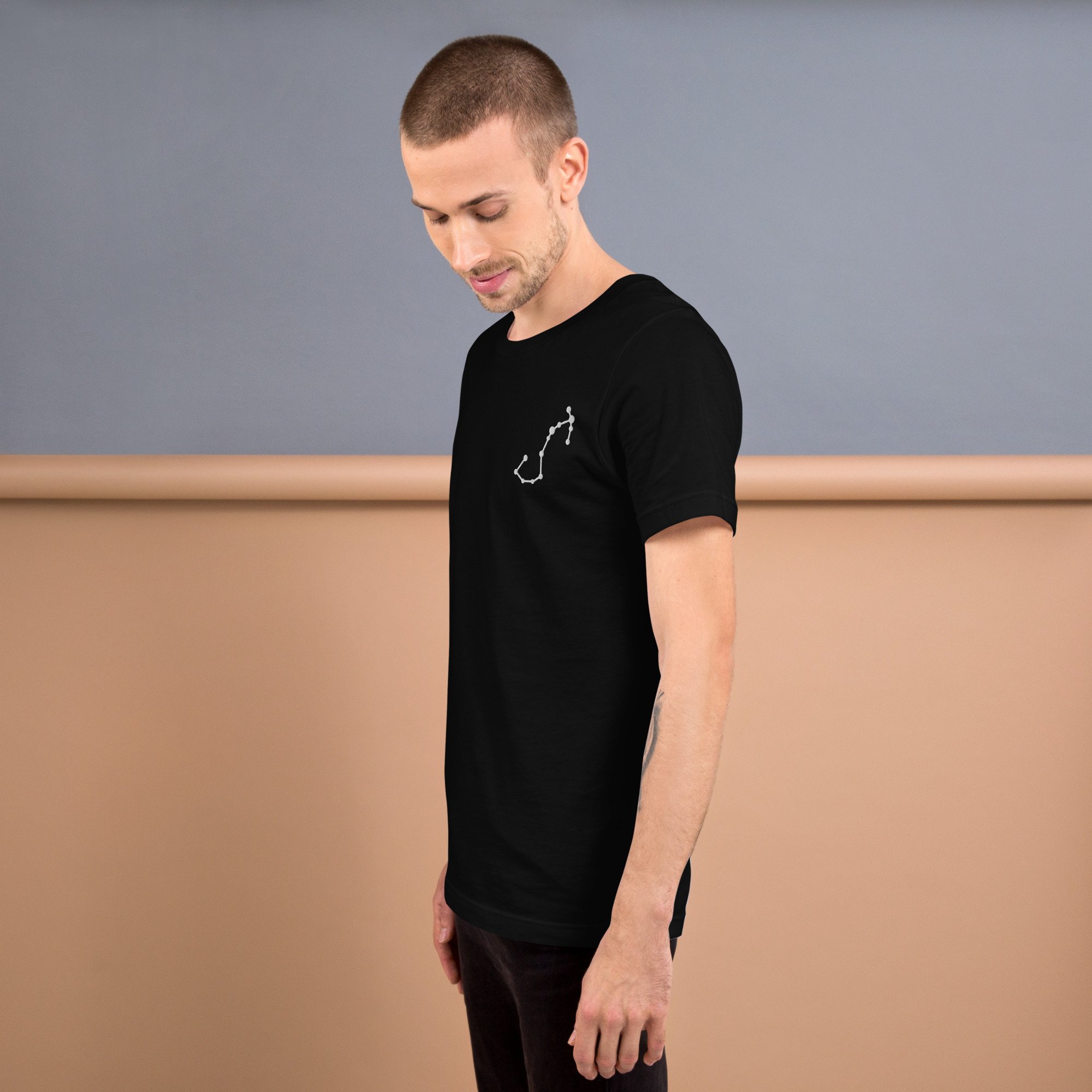 unisex-staple-t-shirt-black-left-68063a08b4ce0.jpg
