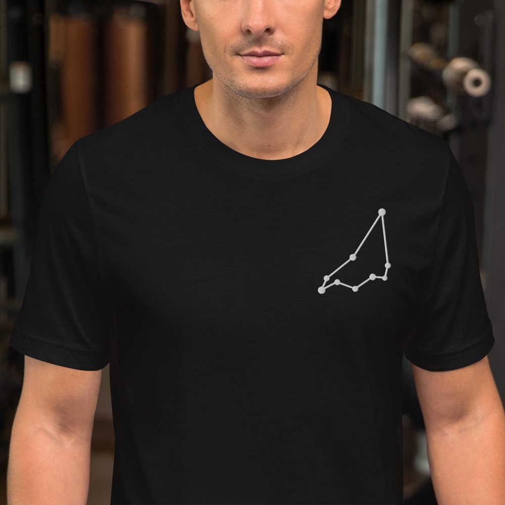 unisex-staple-t-shirt-black-zoomed-in-68063fc5b1d1f.jpg