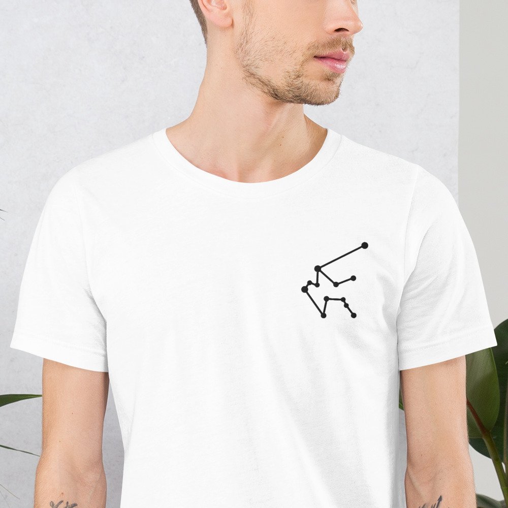 unisex-staple-t-shirt-white-zoomed-in-680641c435aa5.jpg