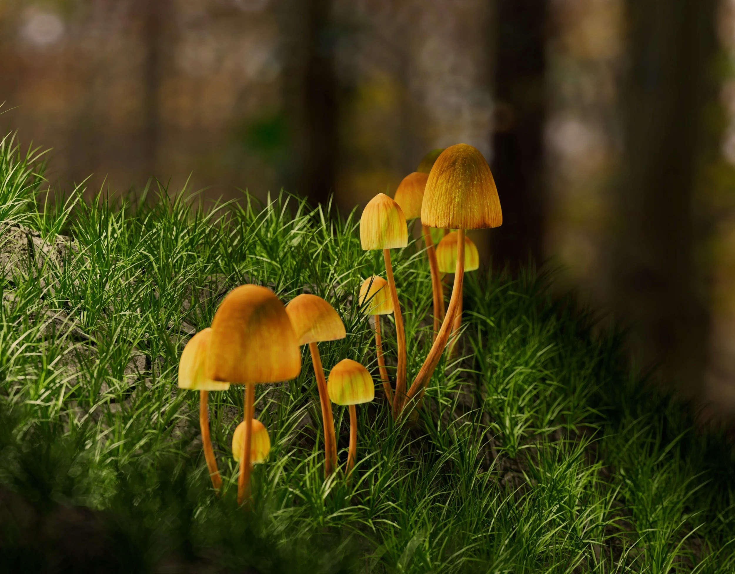 Cluster of orange-brown mushrooms growing among green grass in a forest setting.