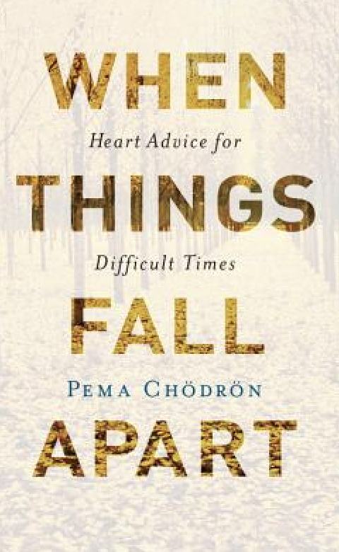 Book cover with the title 'When Things Fall Apart' and author Pema Chödrön. The title is in large, gold, textured letters, and the background appears to be a subtle, distressed beige with hints of a cityscape.