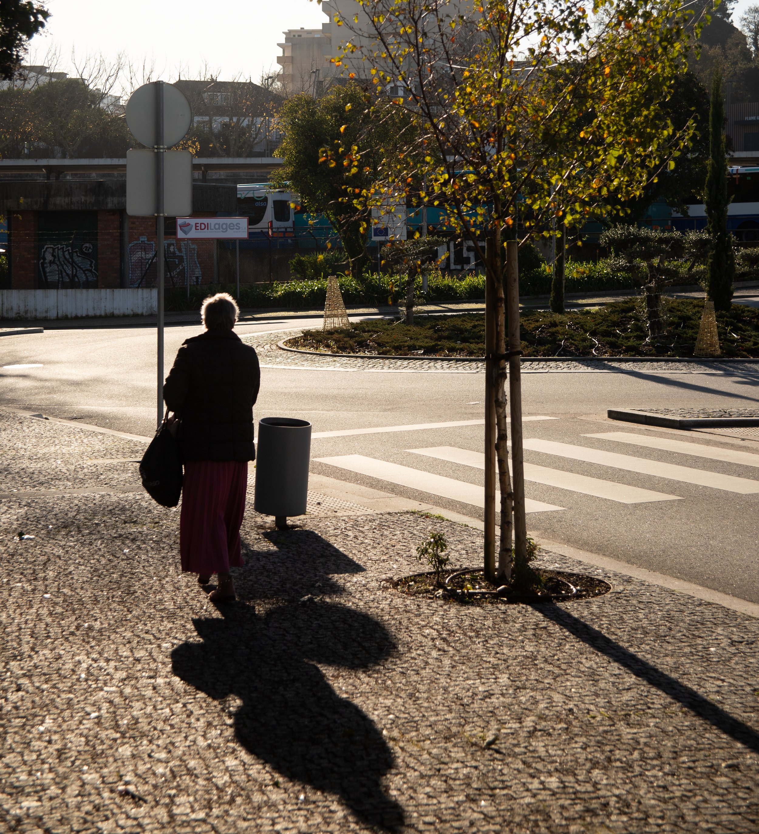 A woman crossing the street at a crosswalk on a sunny day, with shadows cast on the pavement, trees, and vehicles in the background.