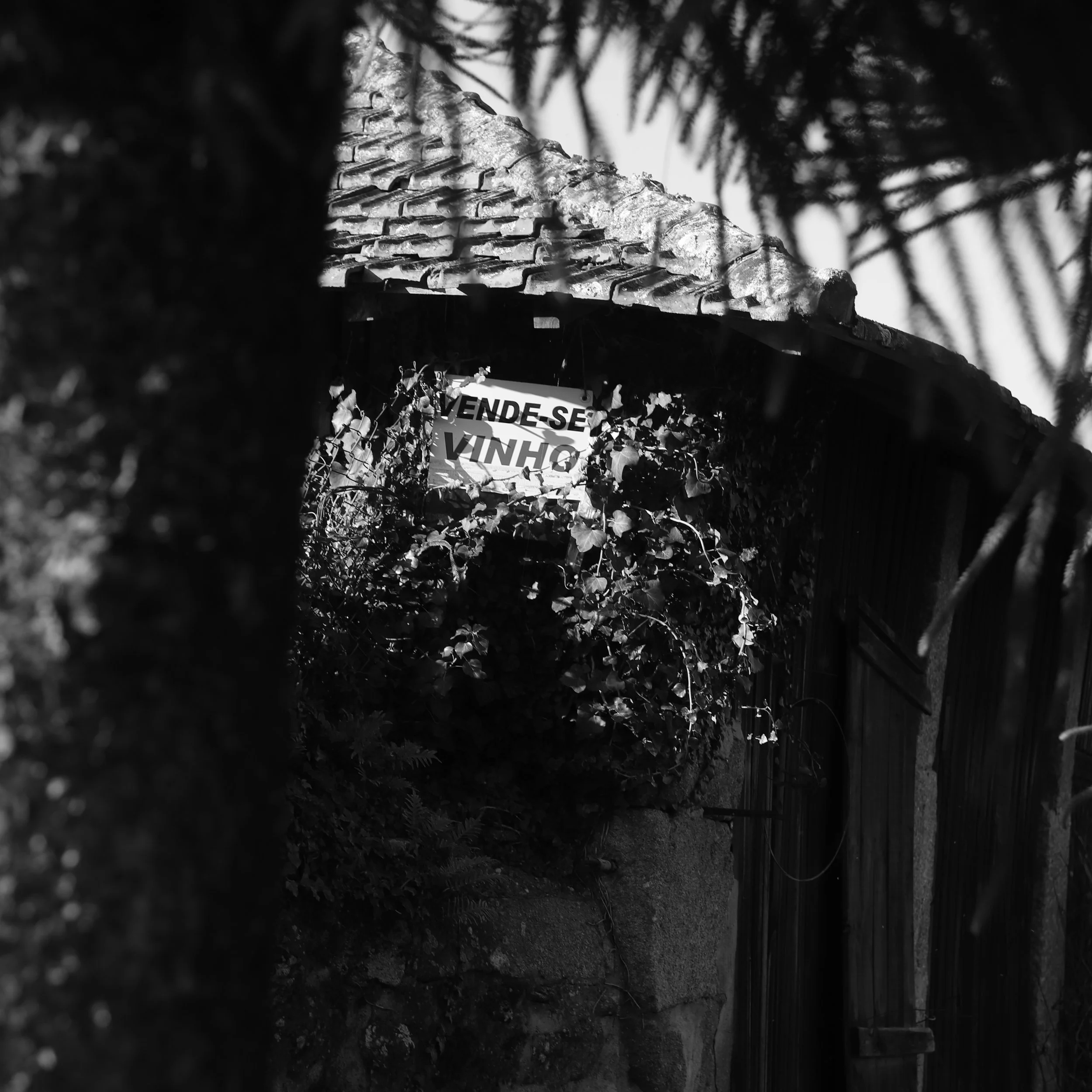 A house with a tiled roof surrounded by ivy and plants, with a partially visible sign in Portuguese that reads "VENDE SE Vinh".