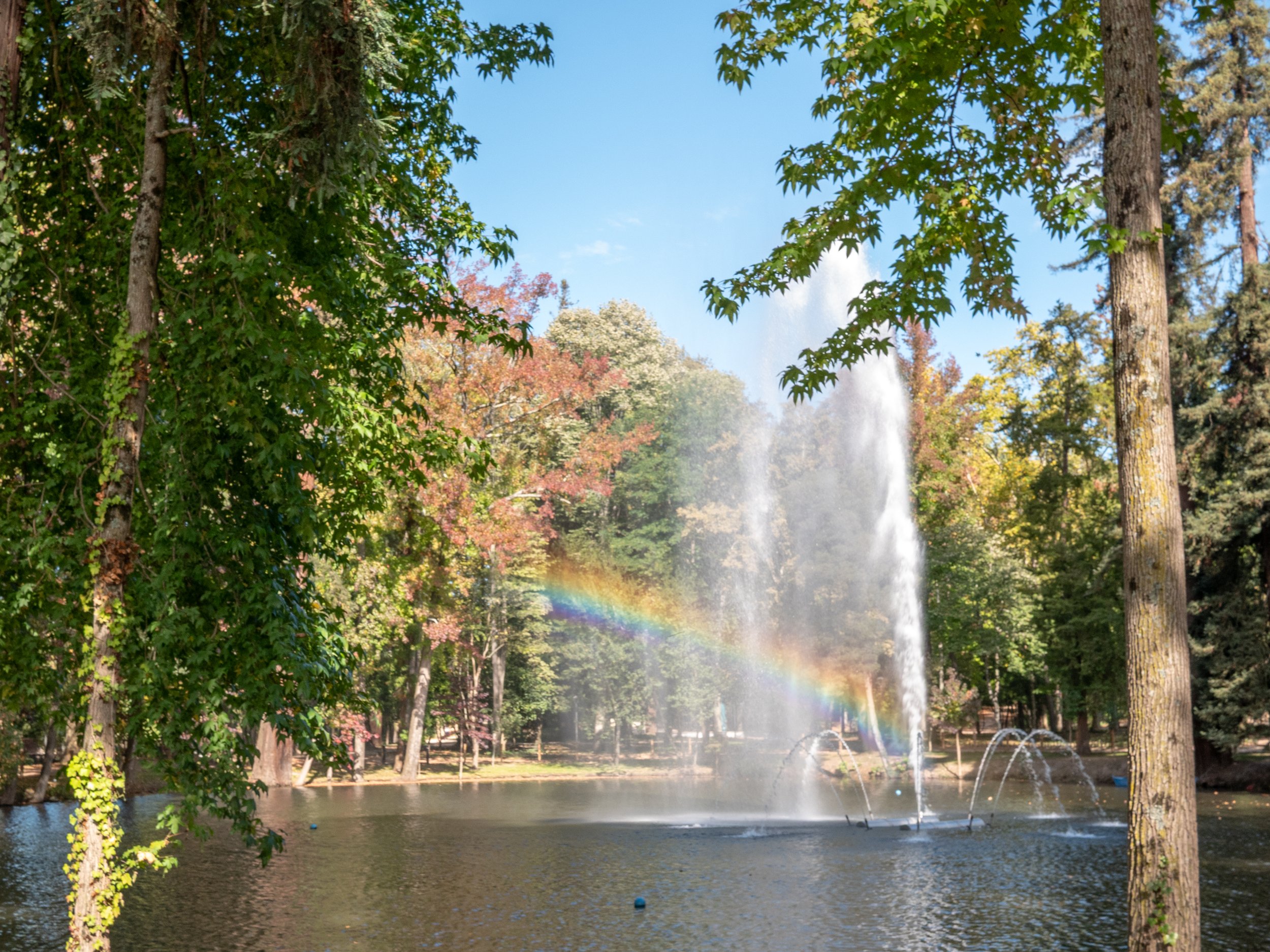 A park scene with a pond, a tall fountain spraying water, and a rainbow visible in the spray. Surrounding trees with mixed green and autumn-colored leaves.