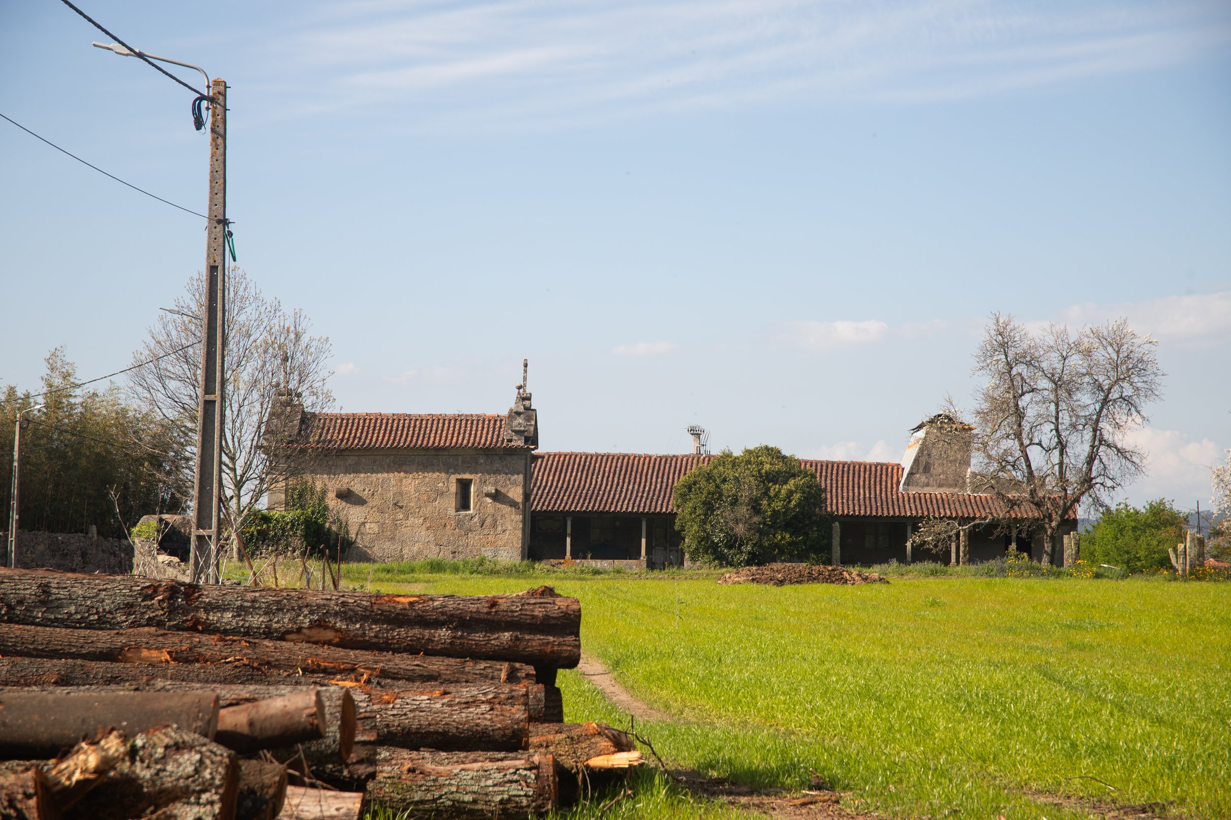 A rural scene with a pile of logs in the foreground, a grassy field, and stone houses with red tiled roofs and leafless trees under a blue sky.