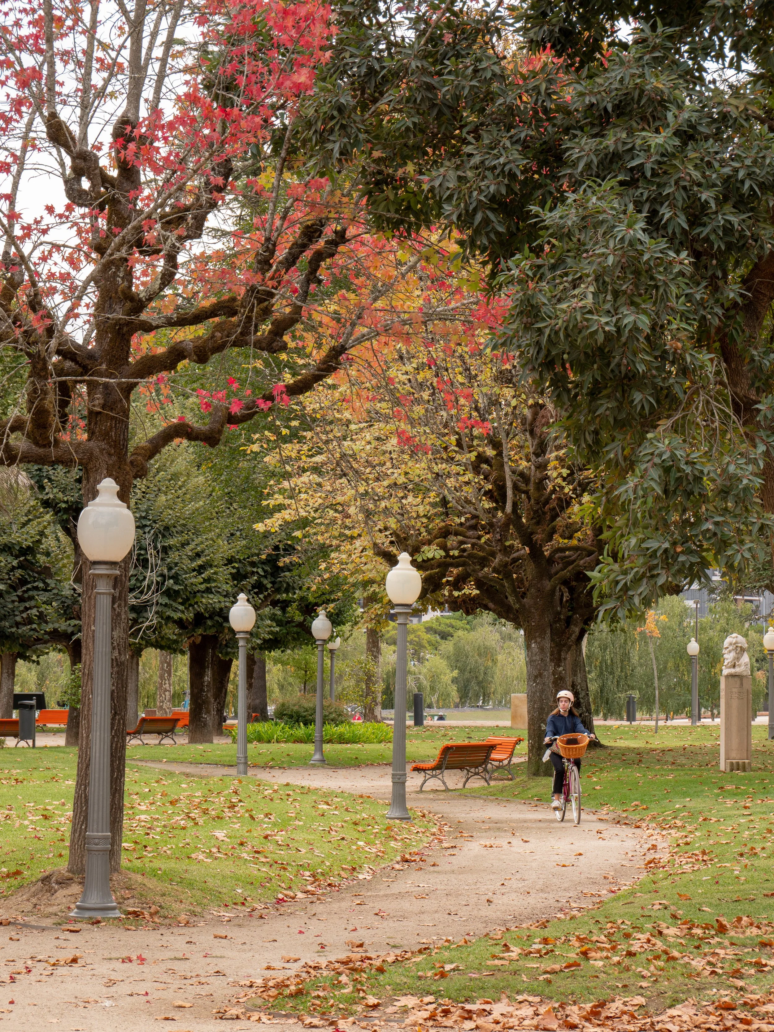 A park scene with pathways, benches, lamp posts, and large trees with fall foliage; a person riding a bicycle on the path.