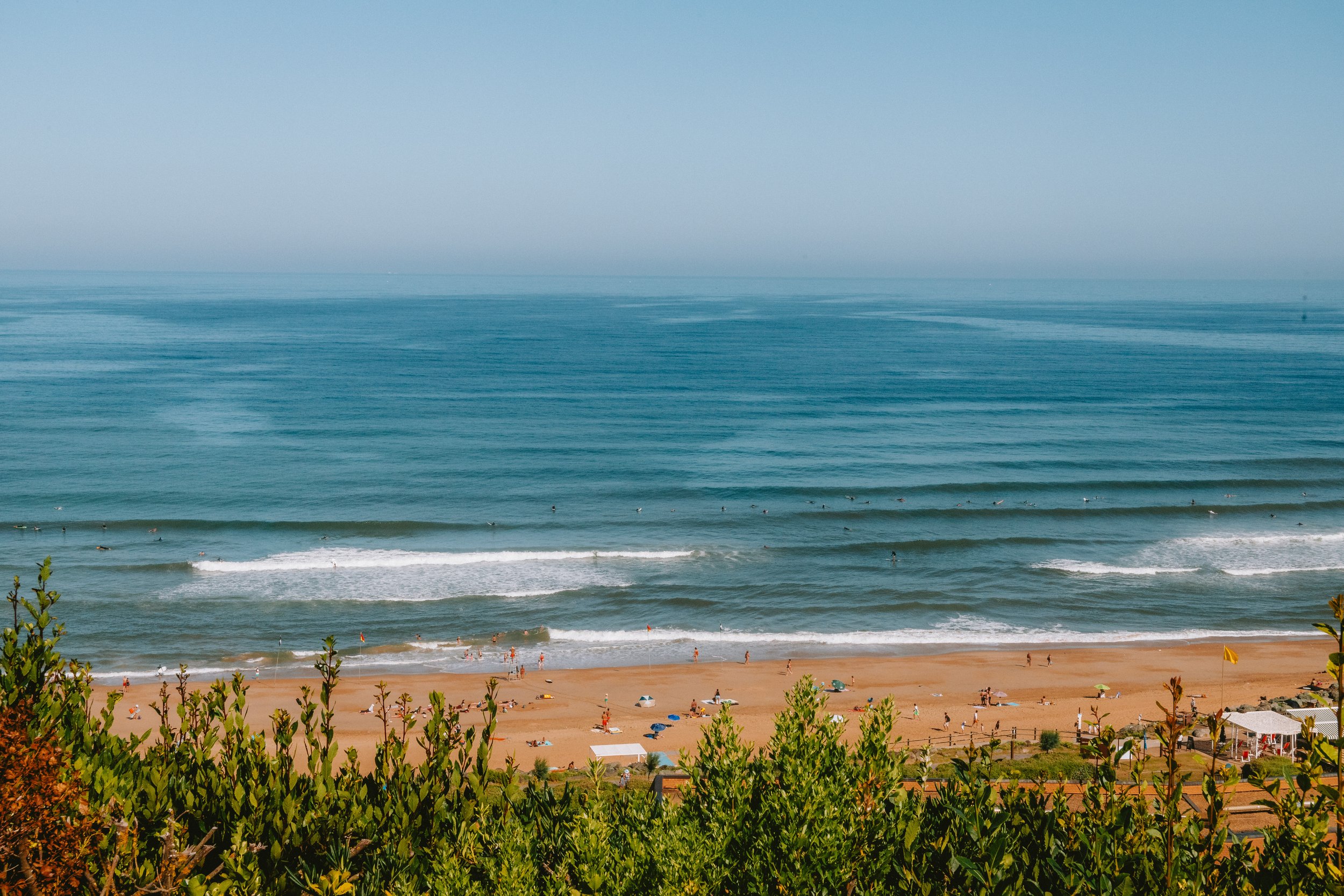 Beach scene with sandy shore, people, umbrellas, and the ocean with gentle waves, behind green bushes.