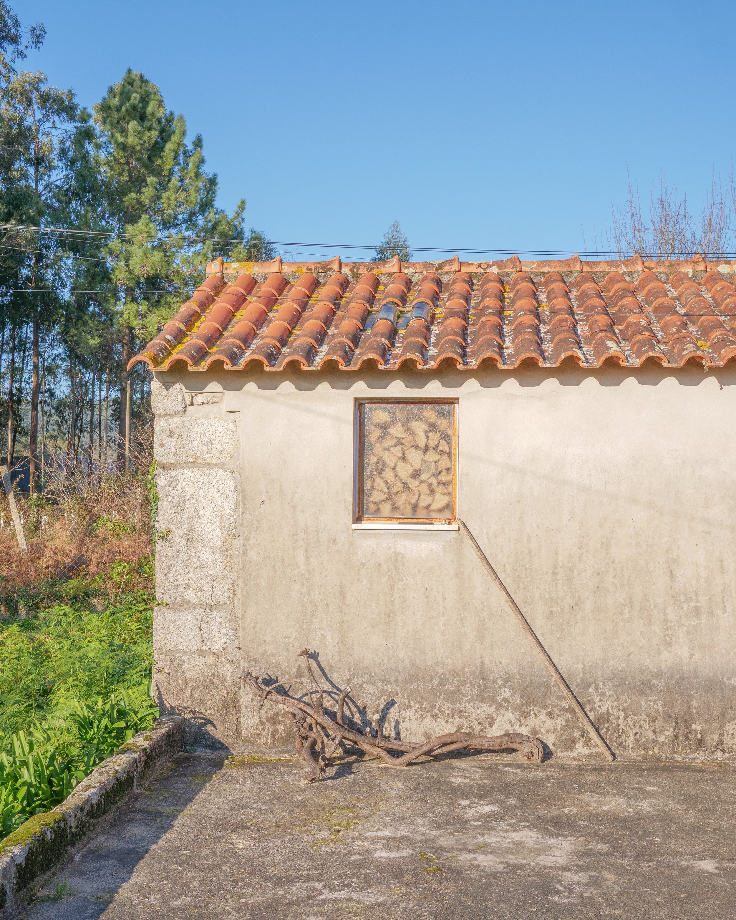 A small house with a tiled roof, a stone wall on one side, and a window filled with stacked firewood. There is a long stick leaning against the house and a large, twisted piece of wood on the ground. The house is set against a background of trees and