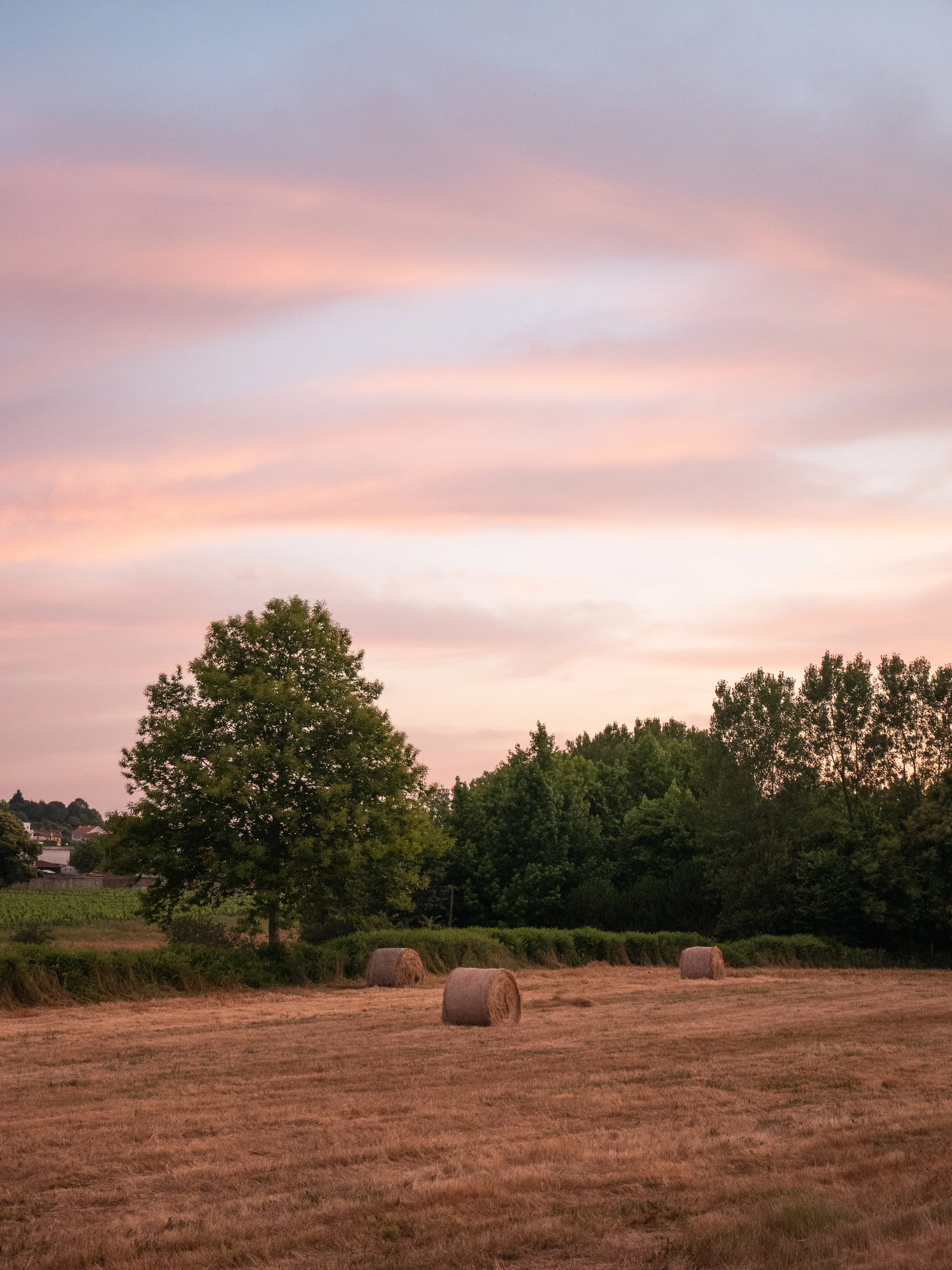 A rural field at sunset with three hay bales, a large tree, and a line of trees in the background under a pink and purple sky.