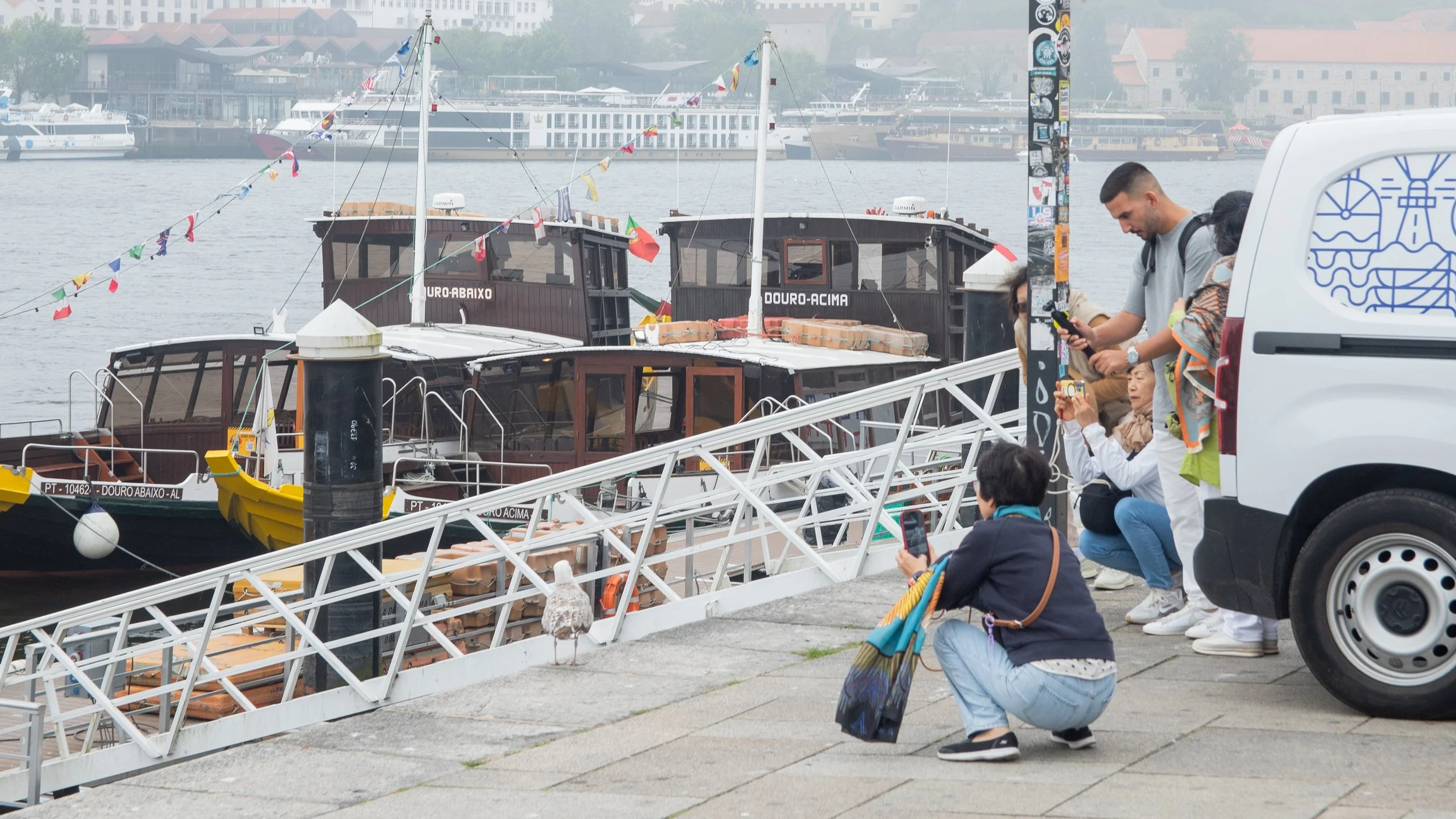 tourists photographing a seagull
