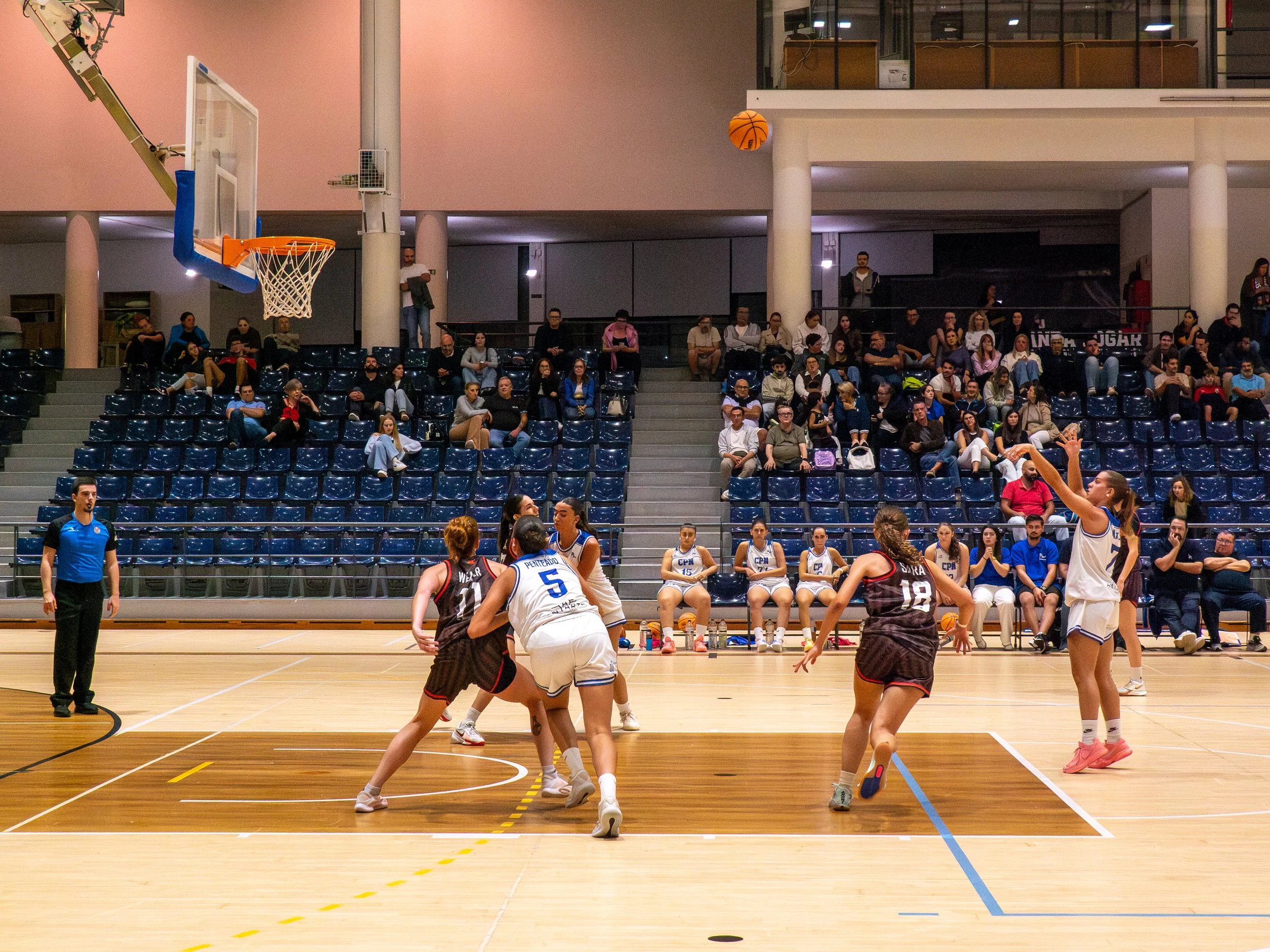 Free Throw, Female Basketball Game