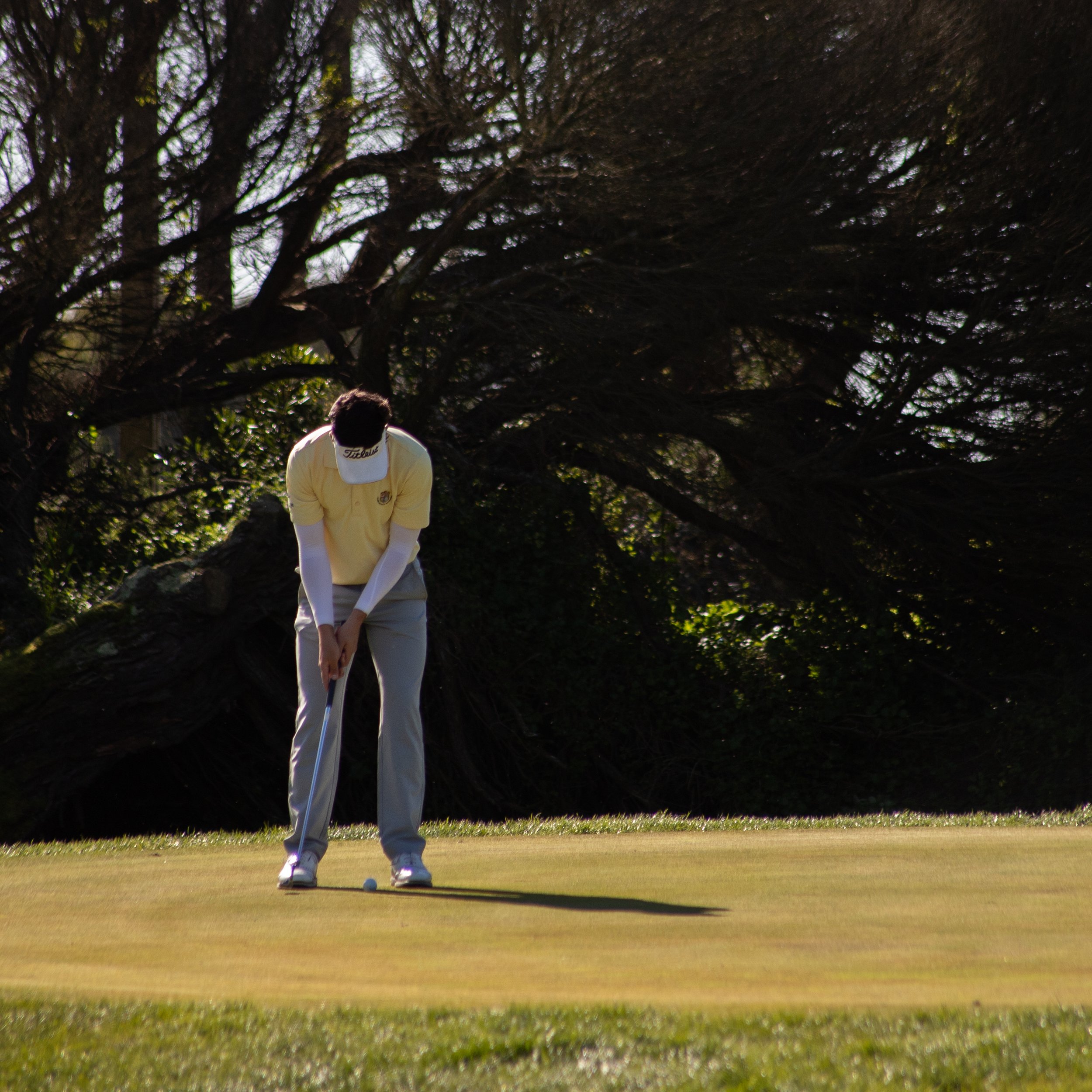 golf player getting ready to putt