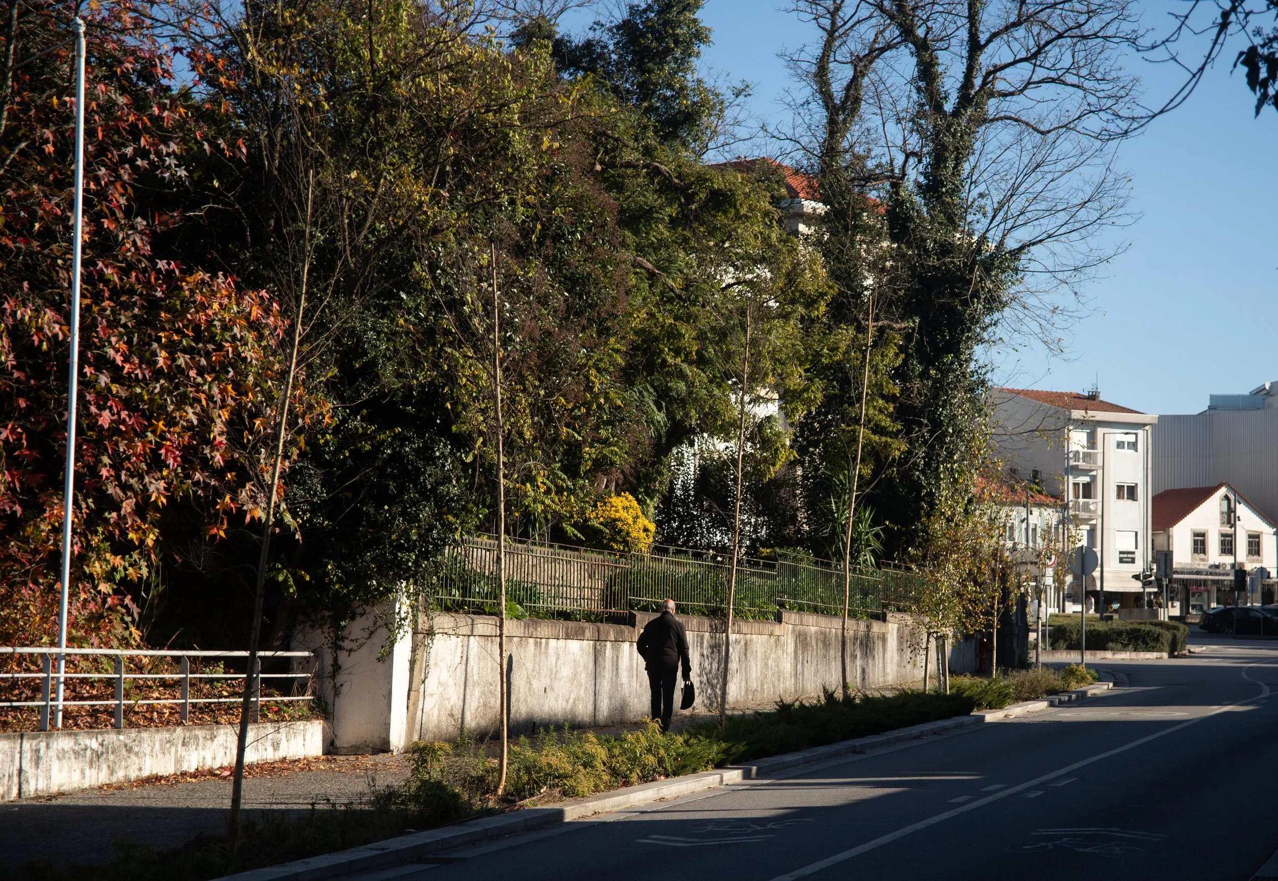A man in a black suit walking along a sidewalk on a sunny day, with trees, bushes, and a white concrete wall beside him, in an urban area with buildings in the background.