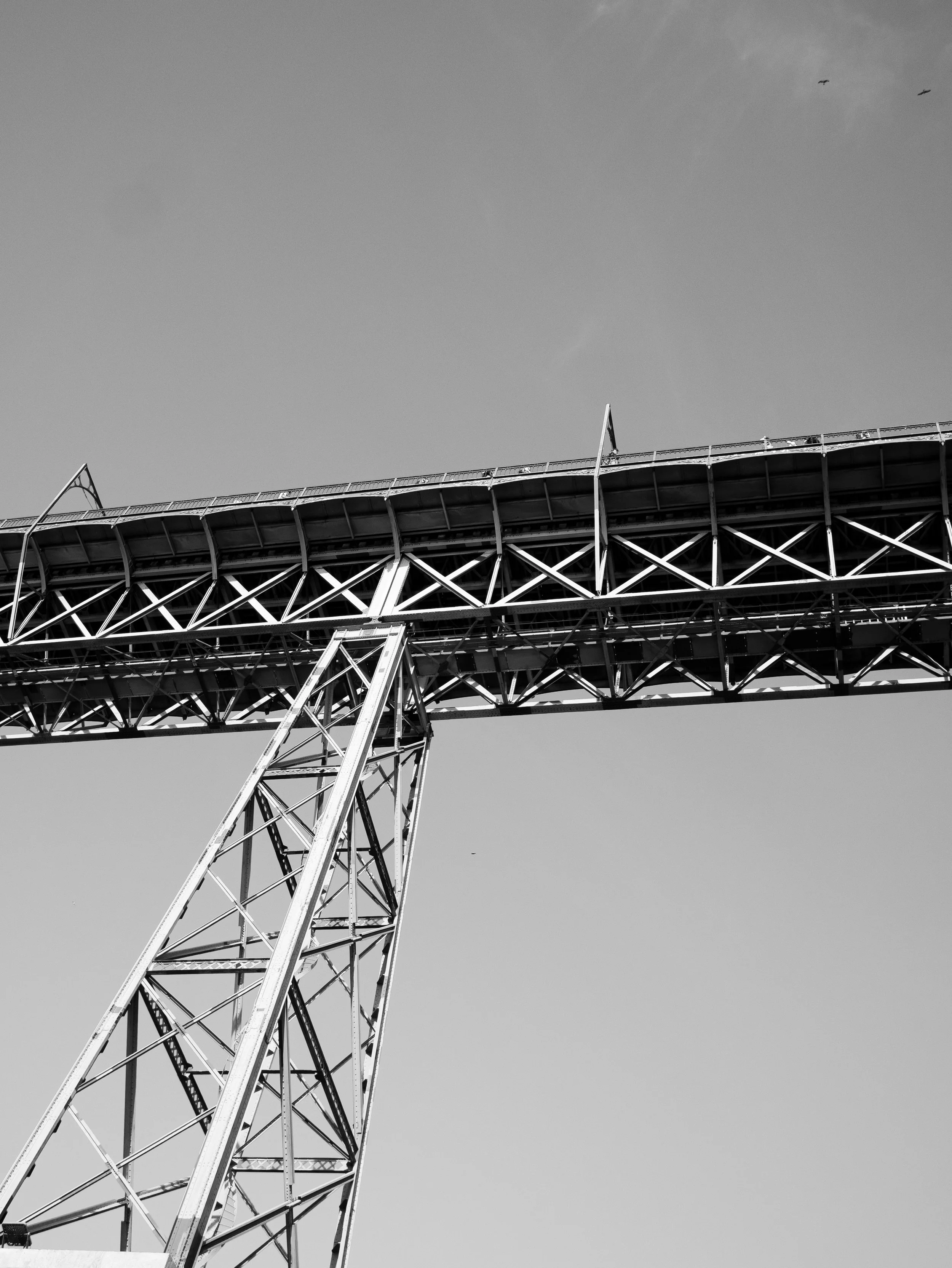D. Luis Bridge in black and white