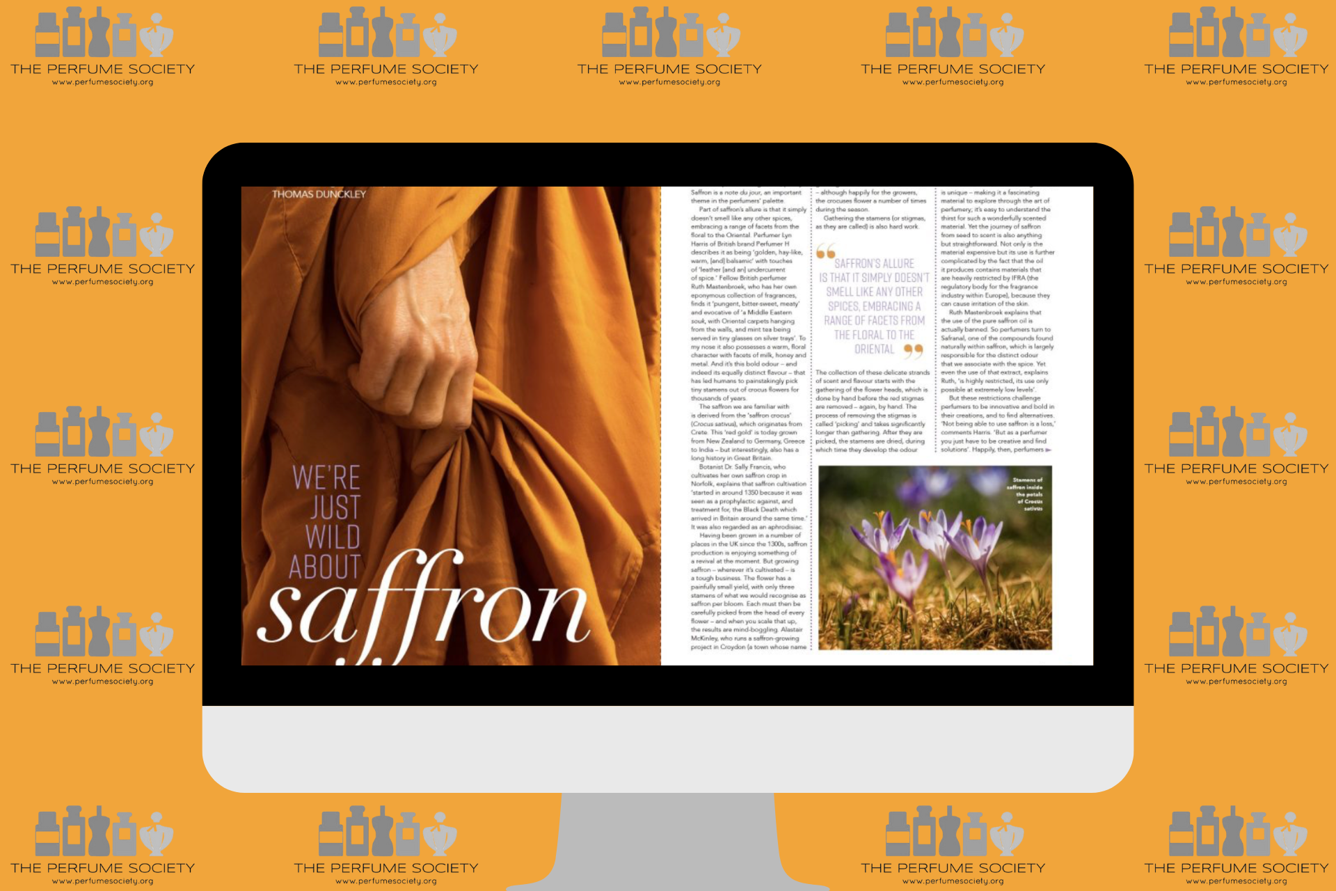 Articles for The Scented Letter