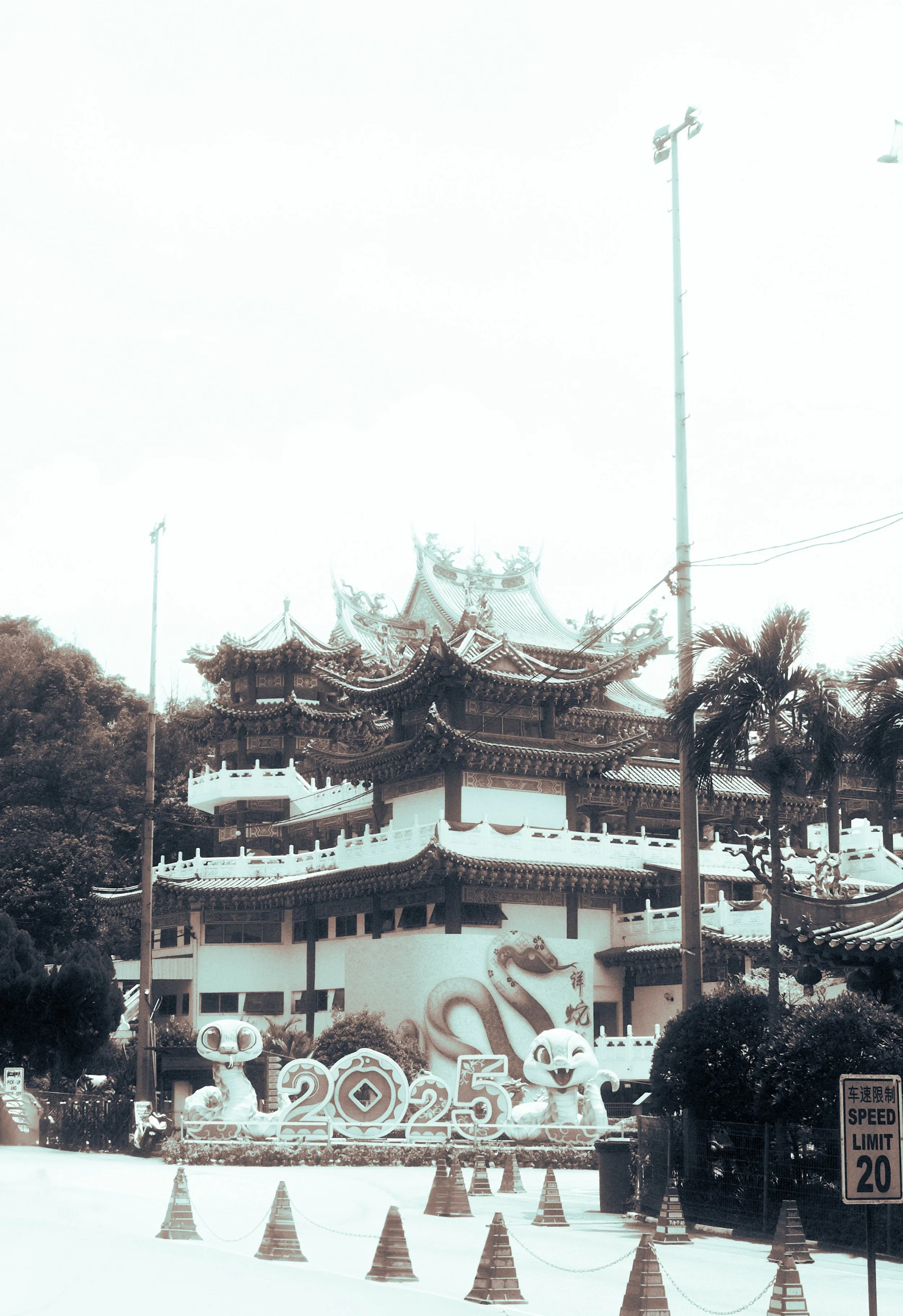DSCF2547.jpg