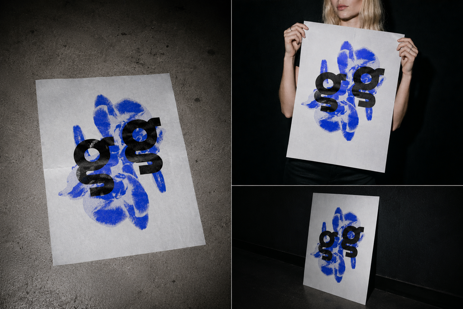 04_signal_festival_mk_collage.png