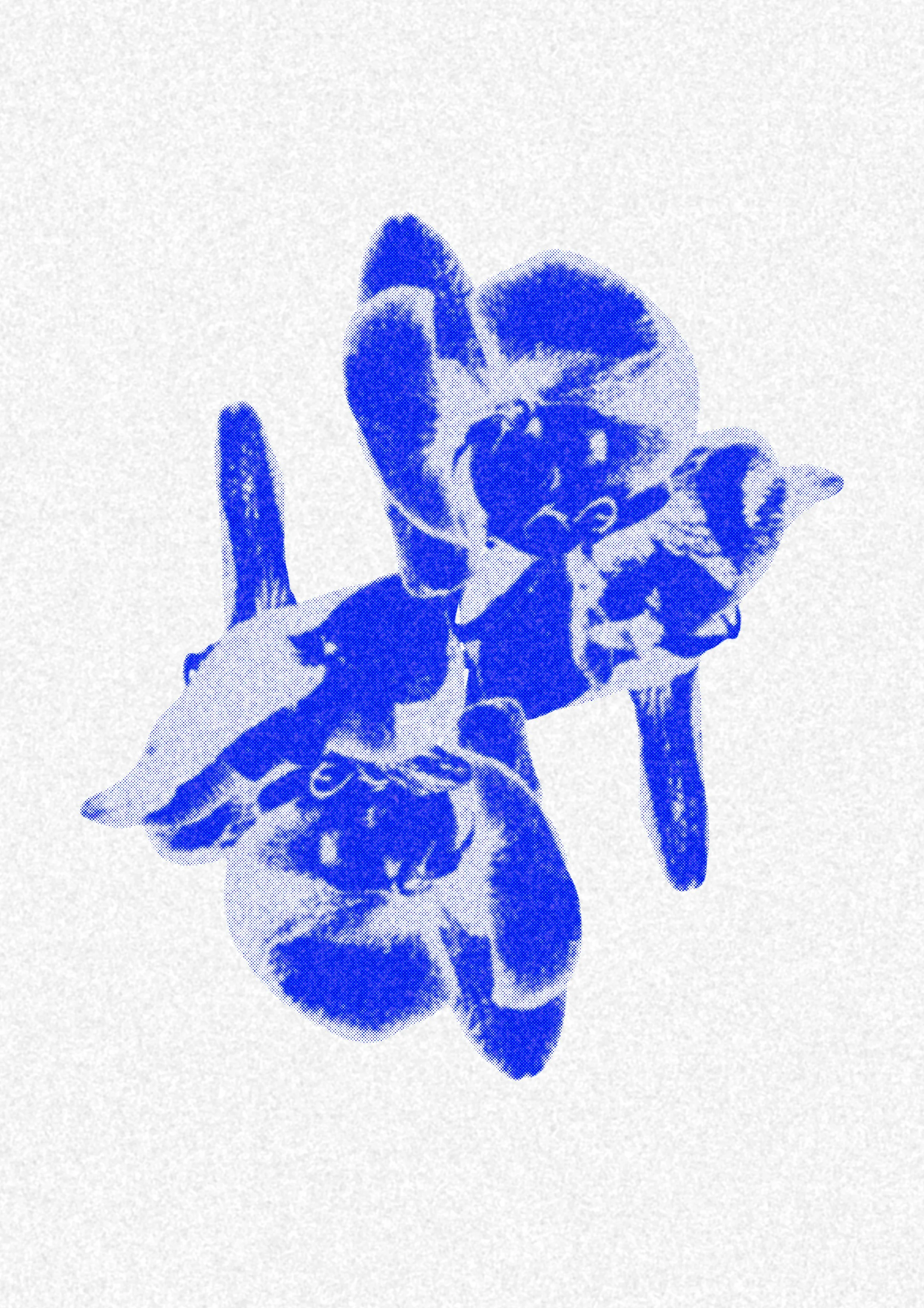04_signal_festival_01.jpg