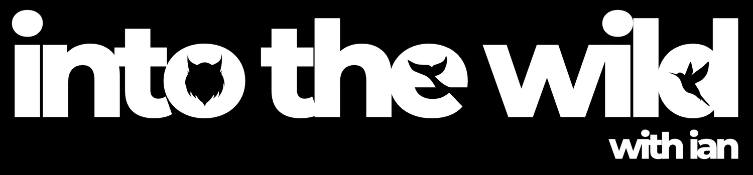 Into the Wild with Ian