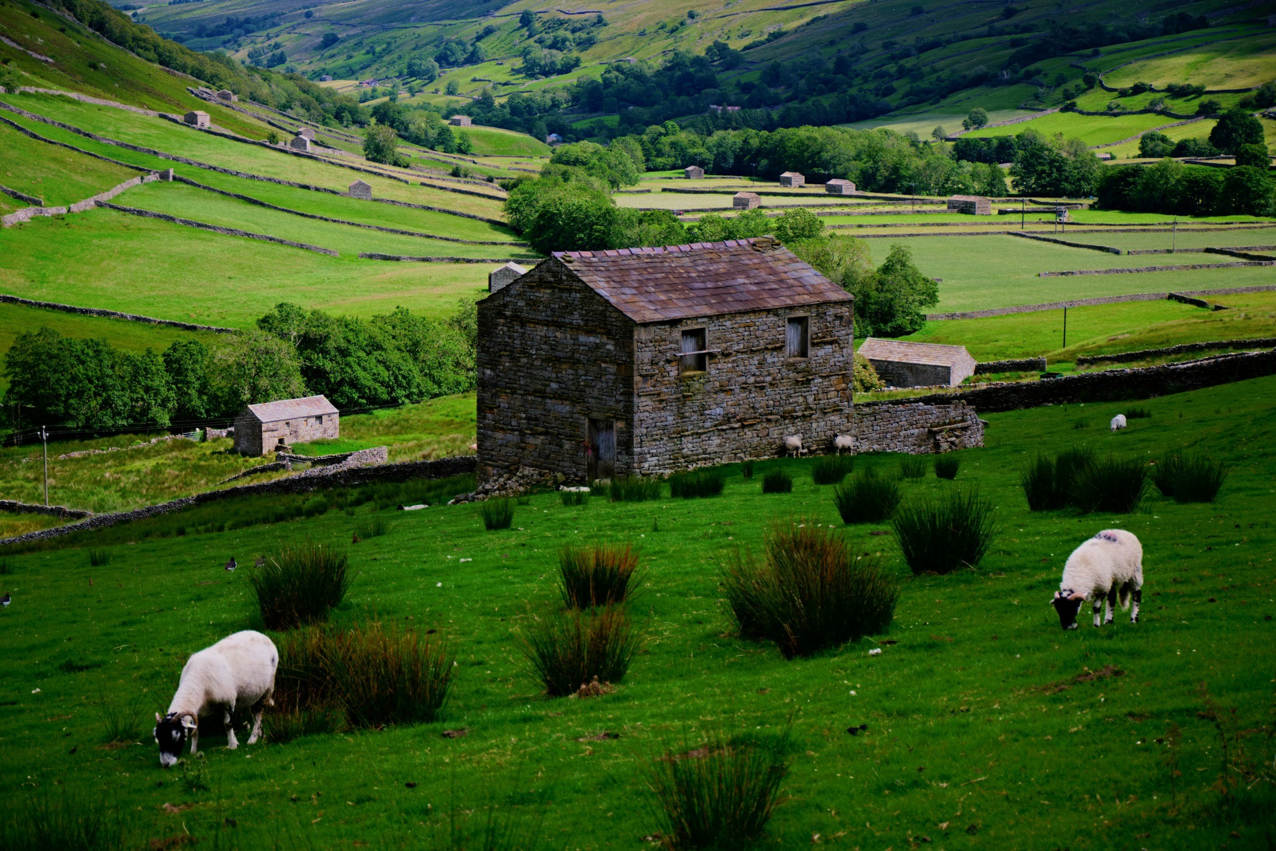 Rural Diversification Ideas for UK Landowners: What Actually Gets Planning Permission