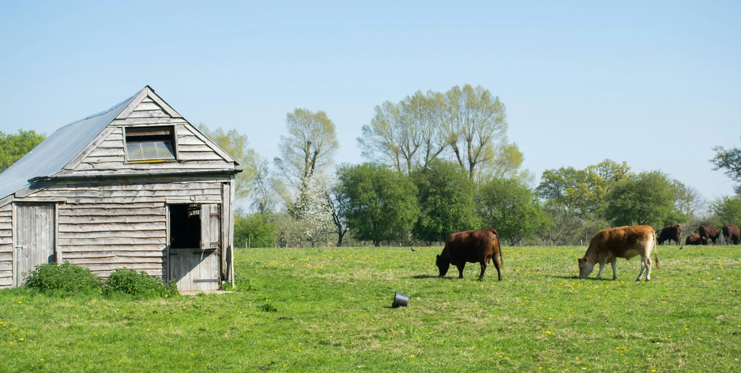 Permitted Development Rights for Farms: What You Can Build Without a Full Application