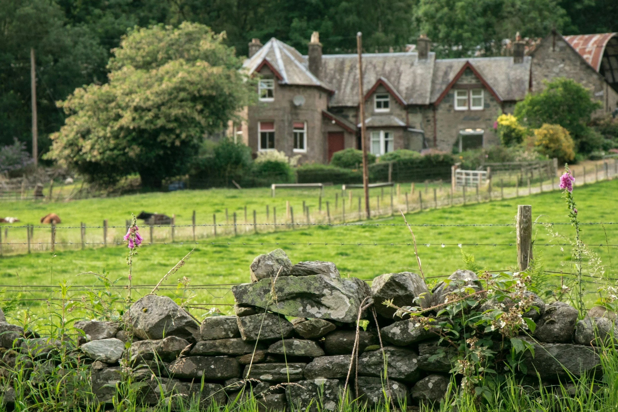 Estate Diversification in Scotland: Lessons from Approved Projects