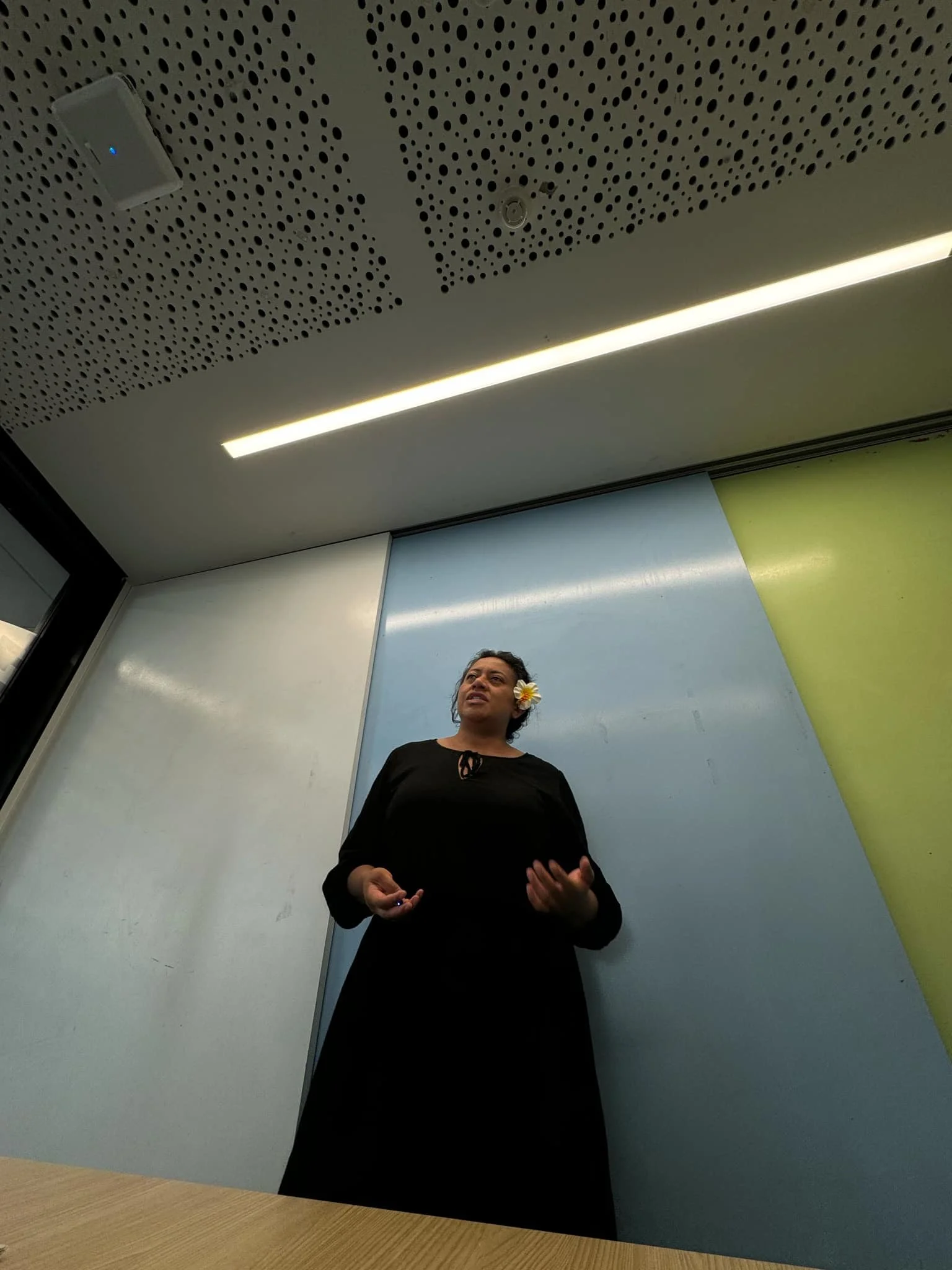 monuina lakua organic social media manager talking at a workshop about organic social media for small to medium businesses