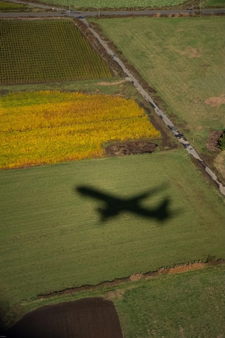 An airplane's shadow cast over agricultural fields, showing green and yellow crops with a road running through the landscape.