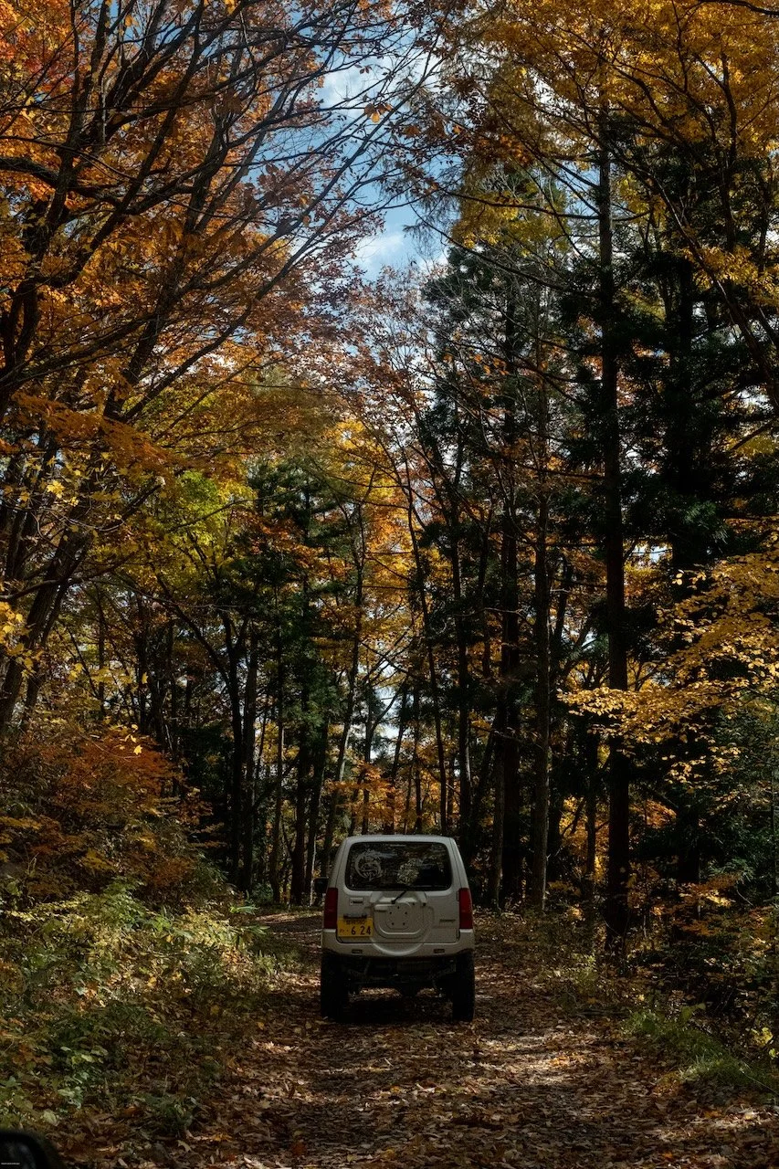 A white vehicle parked on a dirt trail in a dense forest with autumn foliage and a partly cloudy sky.