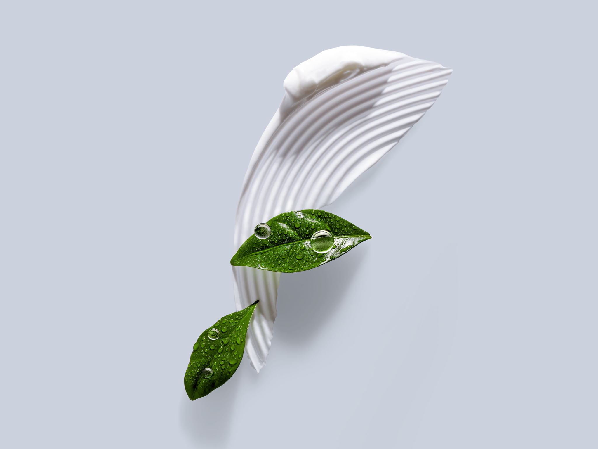 KP_1.png