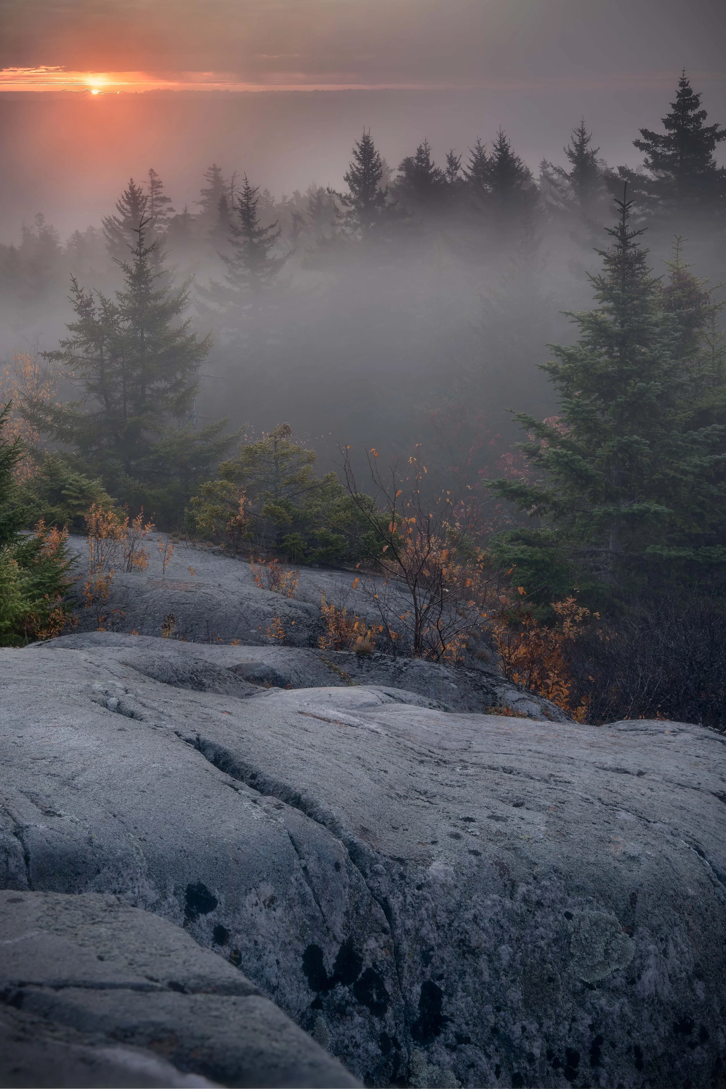 A Quick Catch-Up: Three Months of Growth Behind the Lens