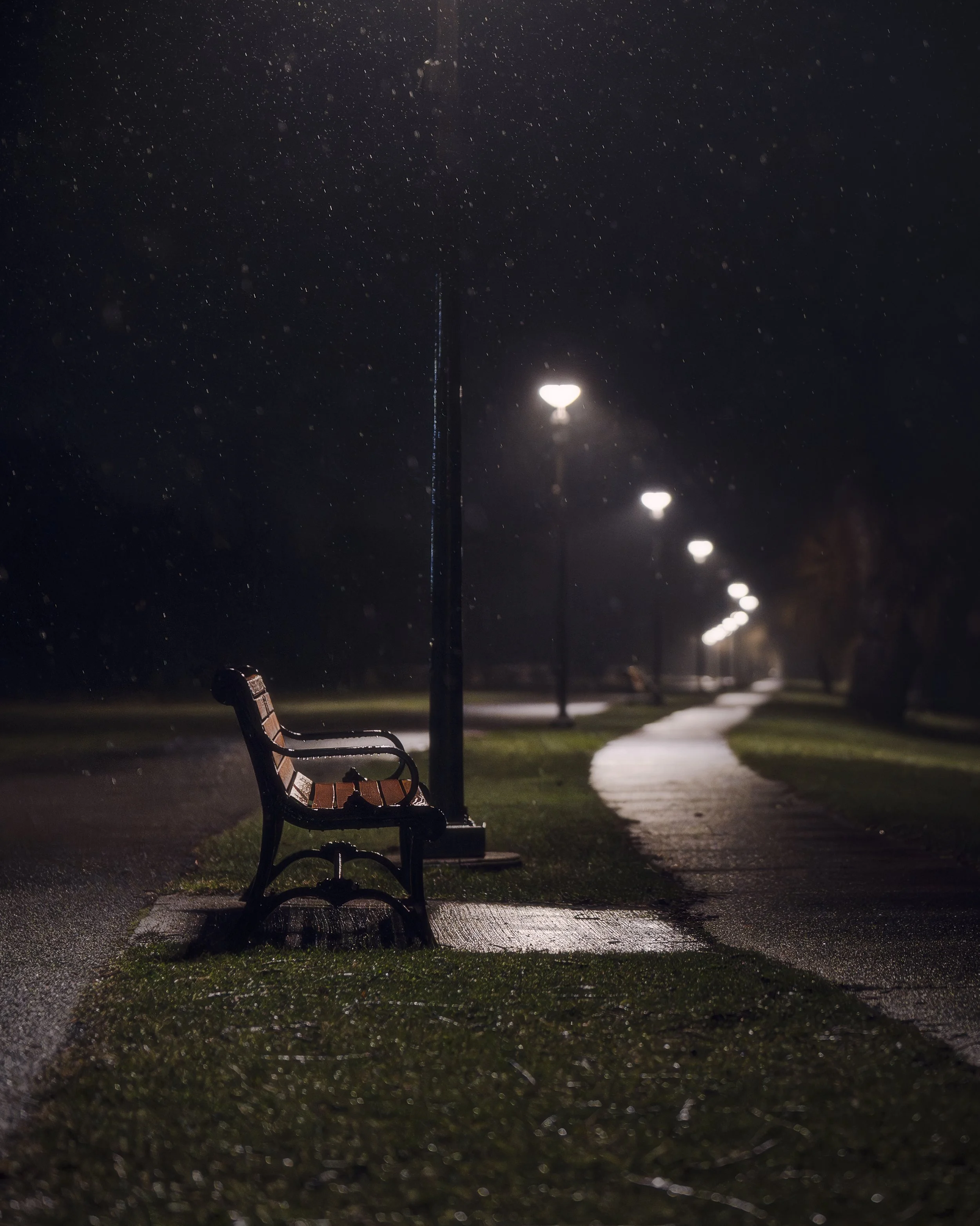 A7403159-Edit.jpg