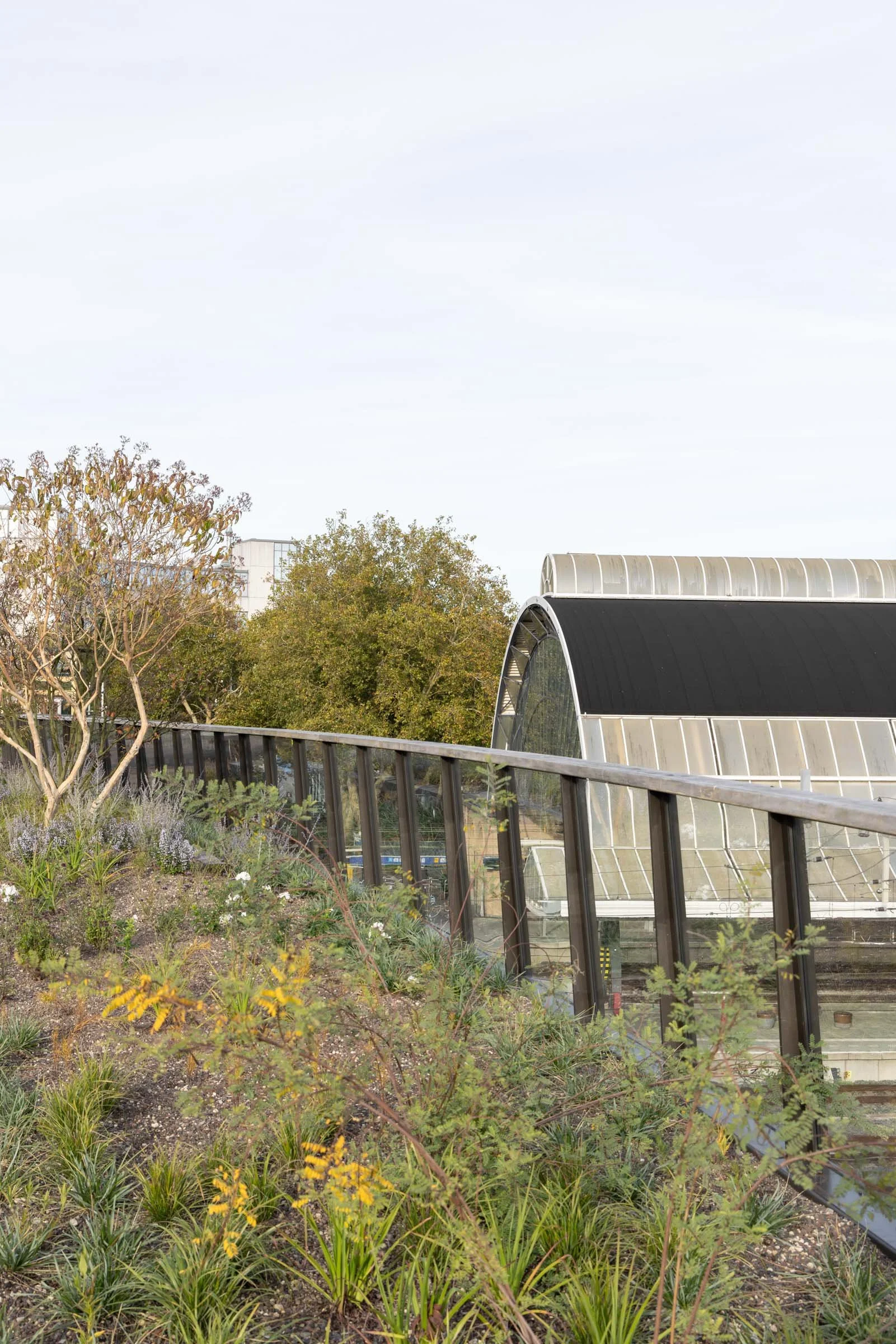 Passerelle Zwolle wooden bridge